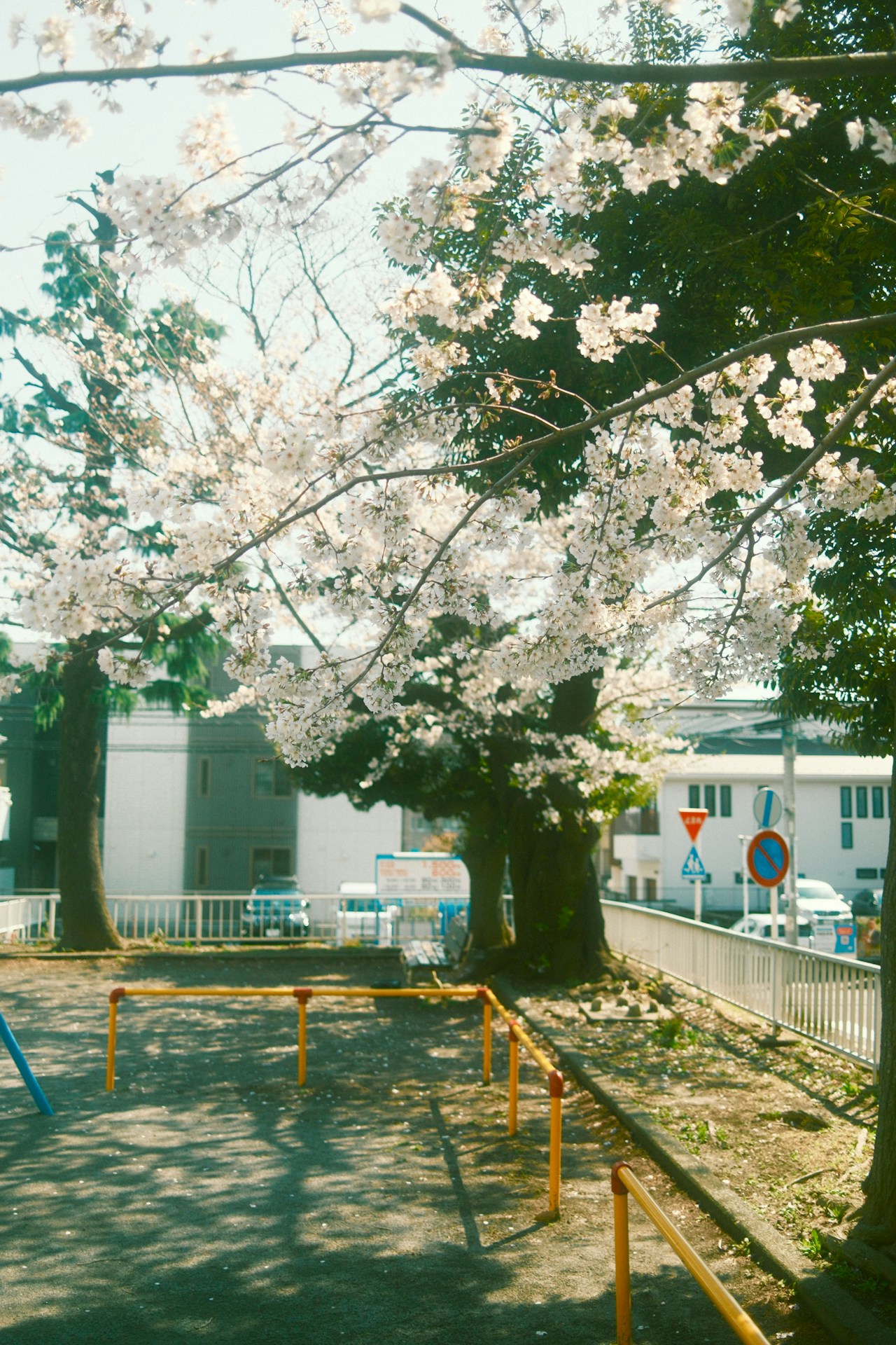 Photo by SHGA