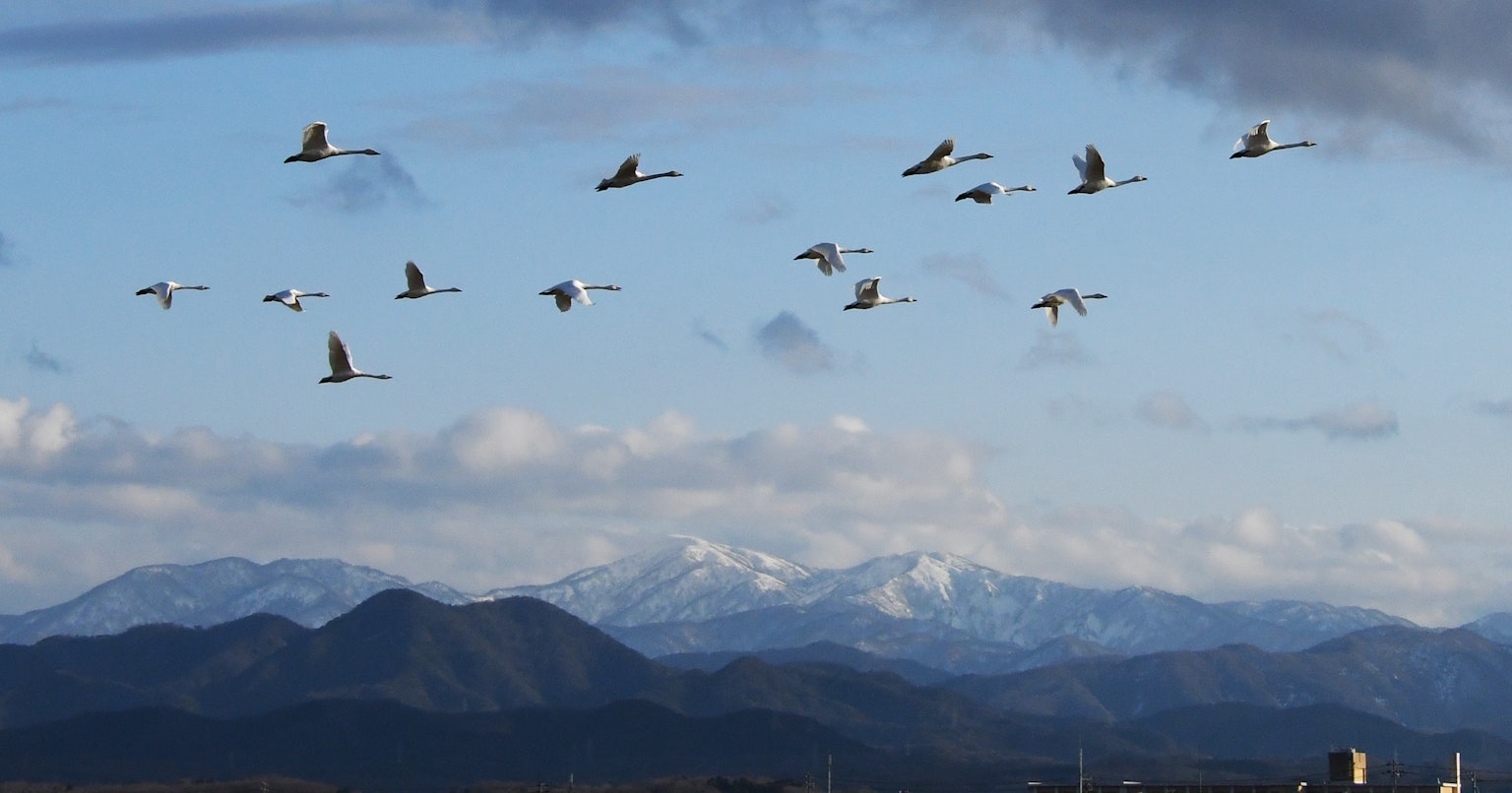 2024-10-ai-copyright-photographer-dataset-dispute-cover-image