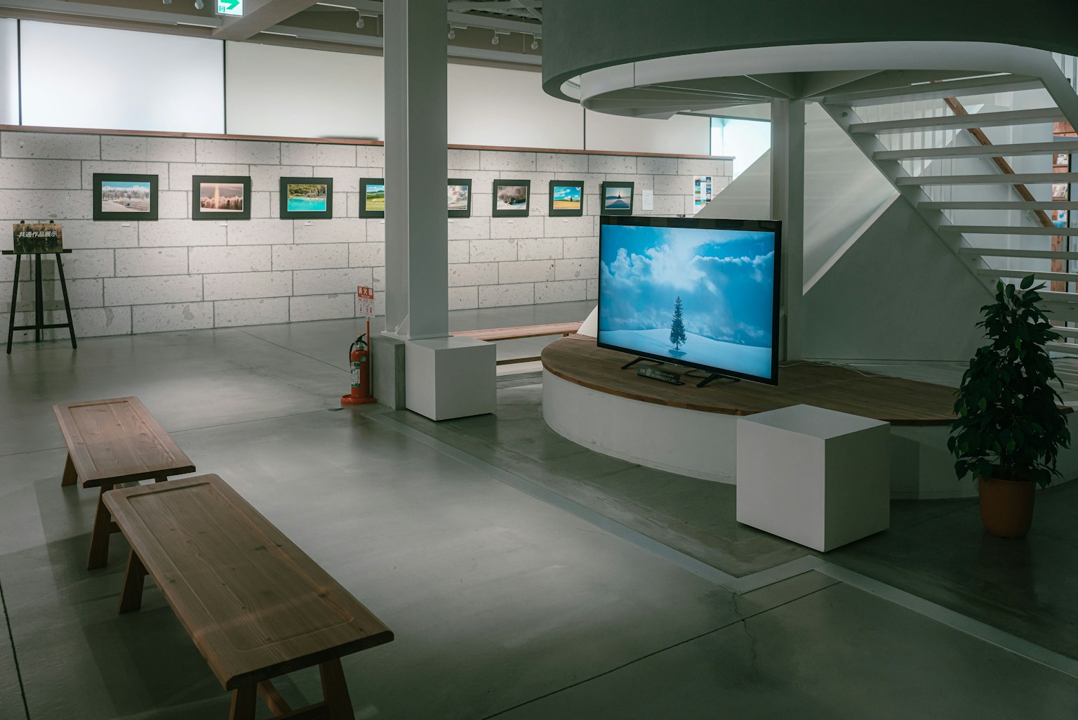 2025-04-photograpy-connections-in-biei-k2ssd-image-3