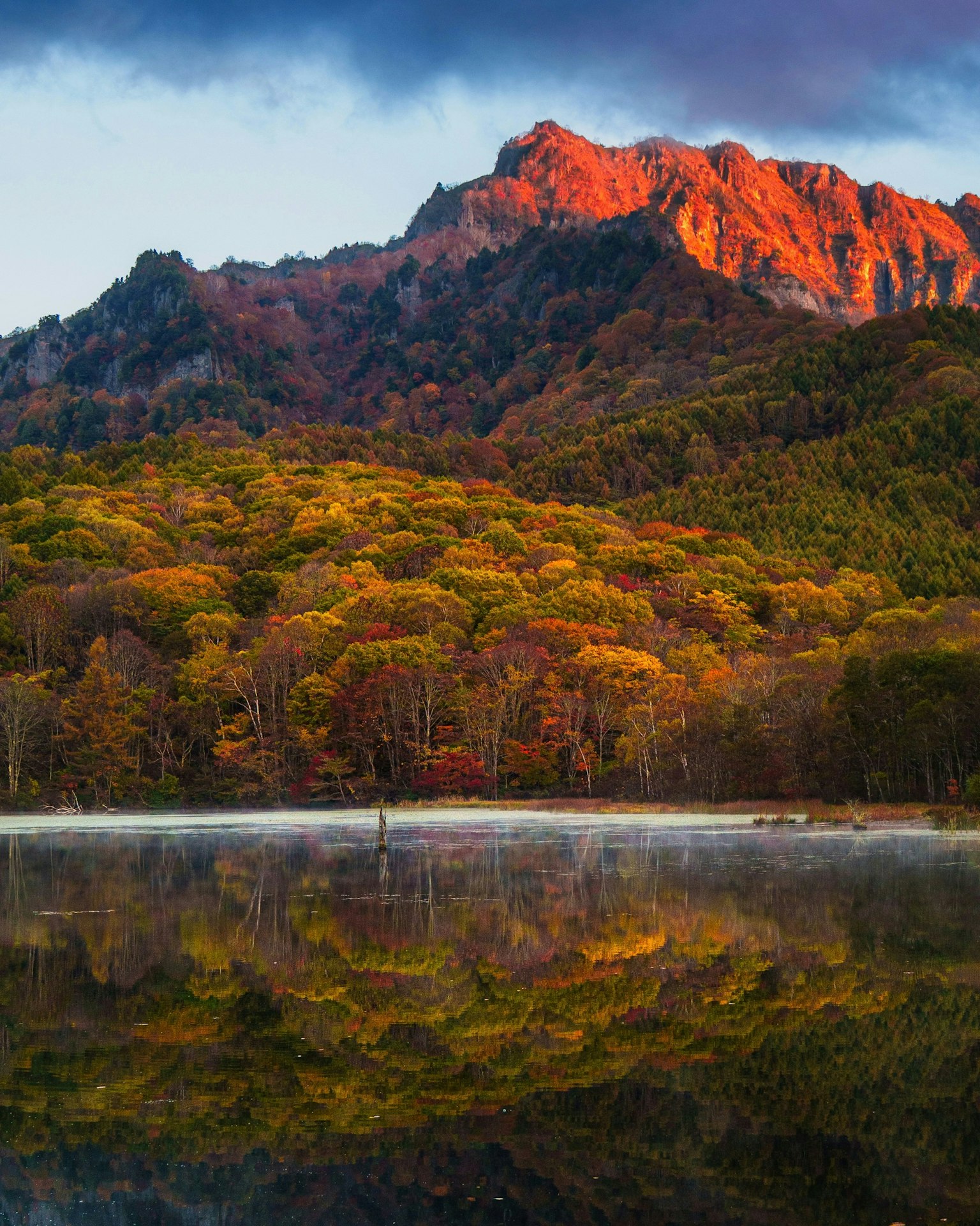 2025-11-ppp-review-by-aco-image-14