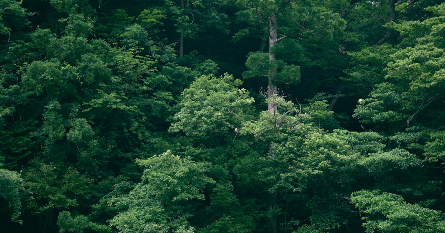 2025-12-shoot-with-aperture-cover-image