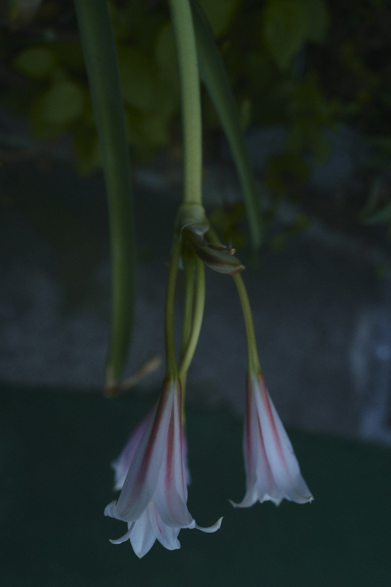 2023-10-takeru-kohara-image-10