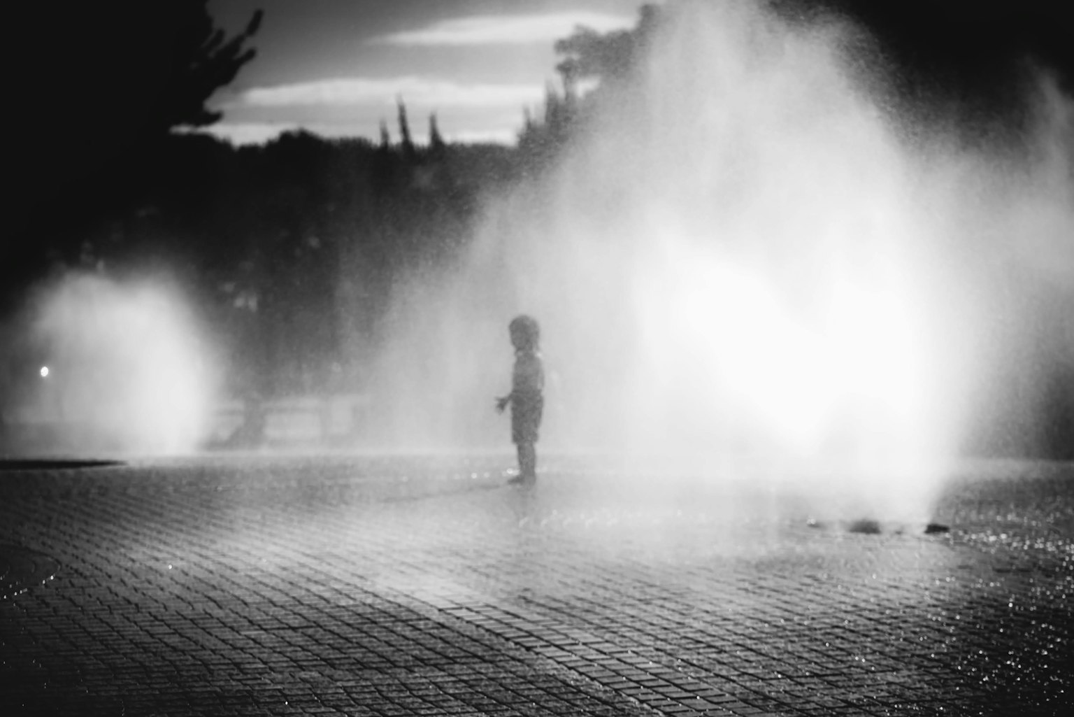 2024-10-your-signature-bokeh-award-image-9