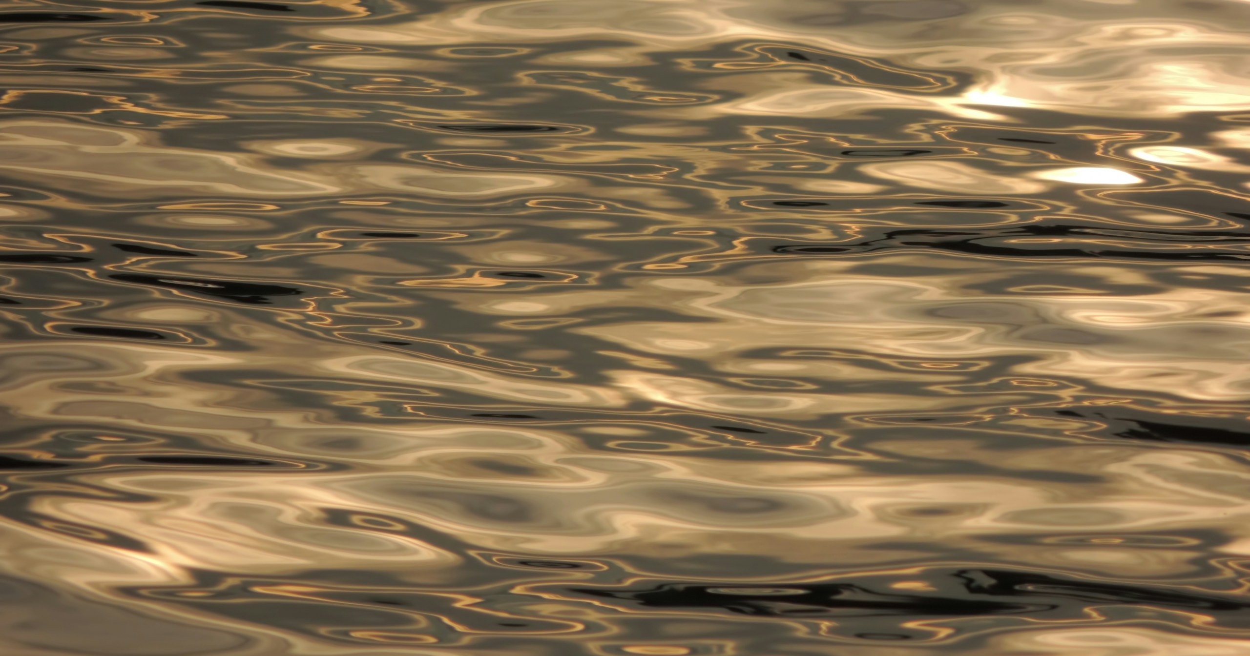 Il nuovo mondo creato dal luccichio dell'acqua | Focus #83