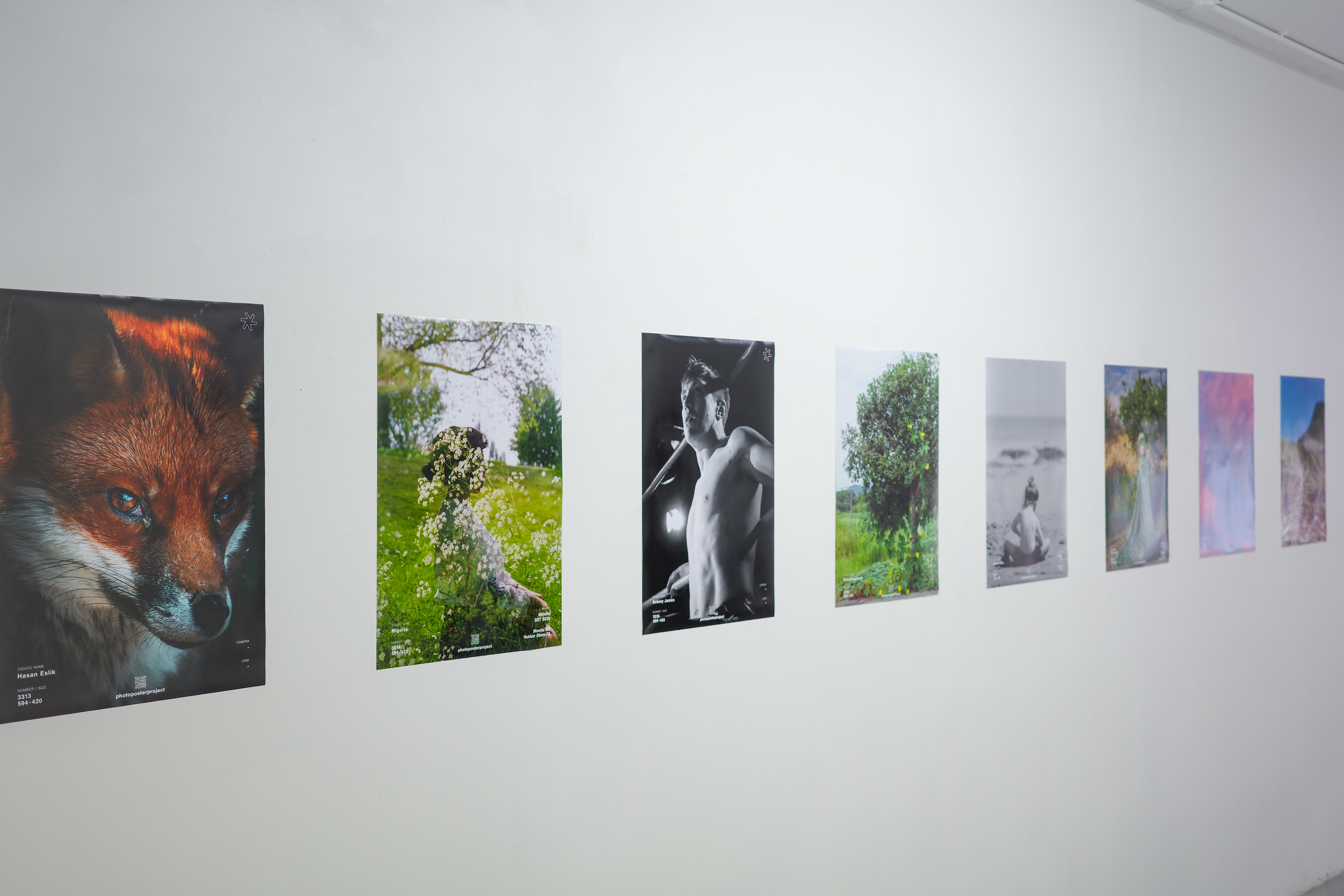 2026-05-ppp-review-by-migolta-image-8