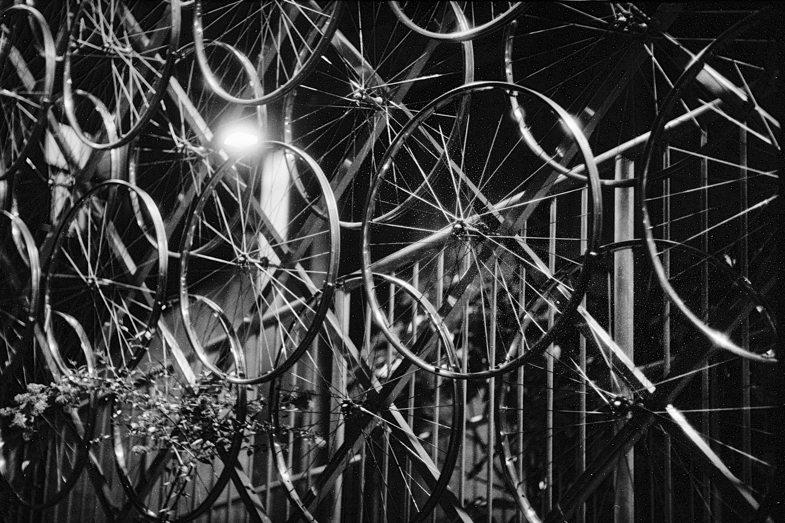 2026-08-round-things-image-10