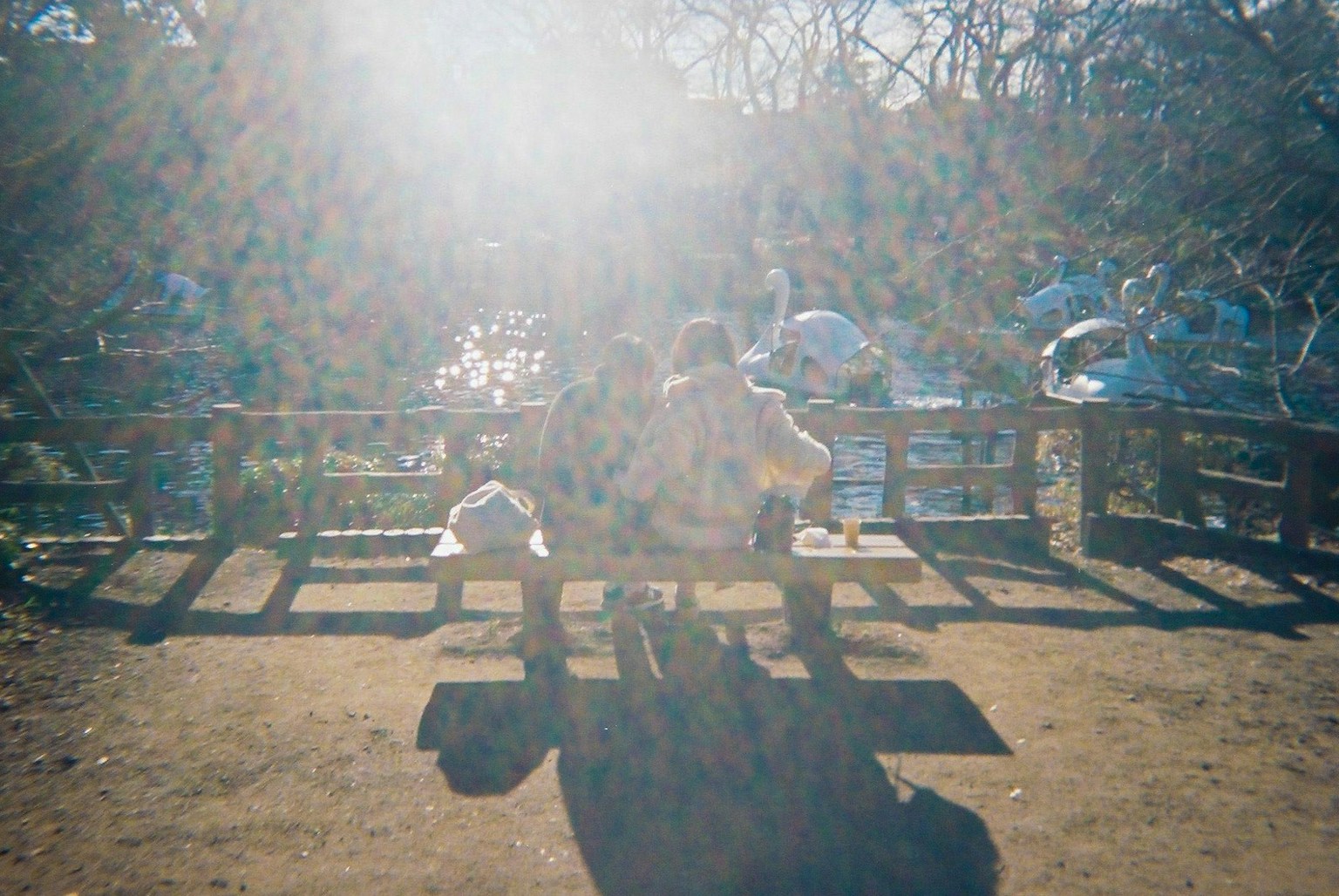 2024-03-backlight-photography-image-7