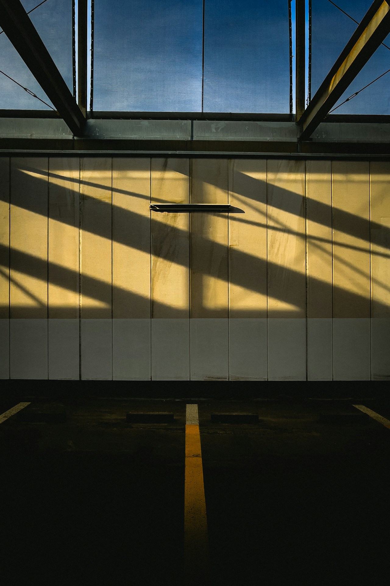 Photo by daphoto