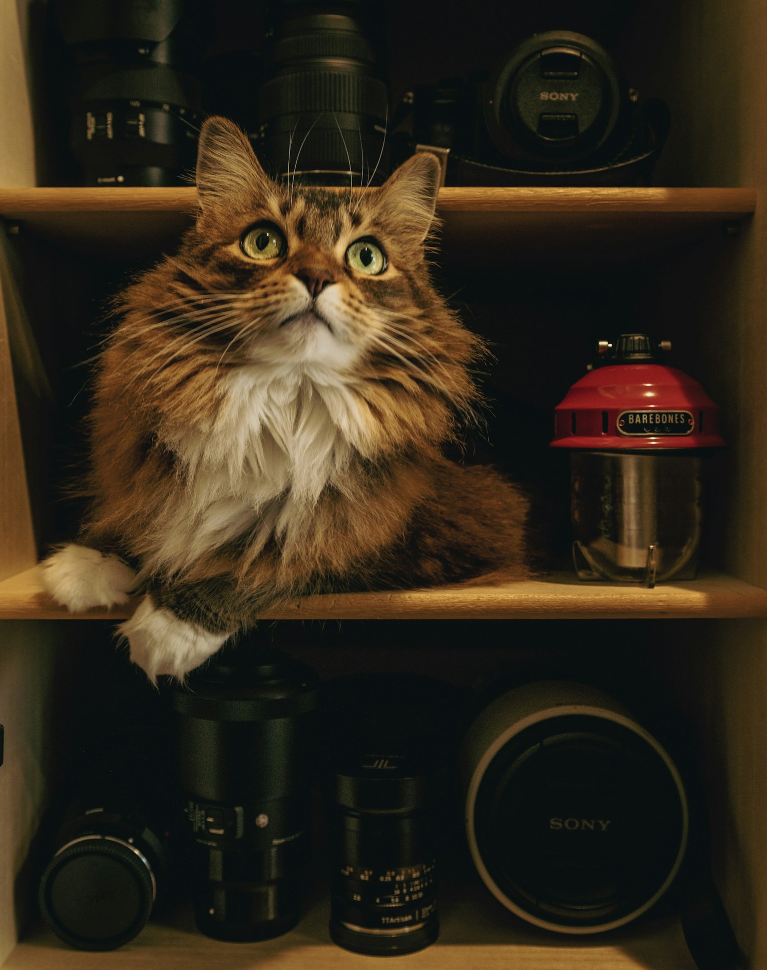 2024-06-be-particular-about-camera-image-7