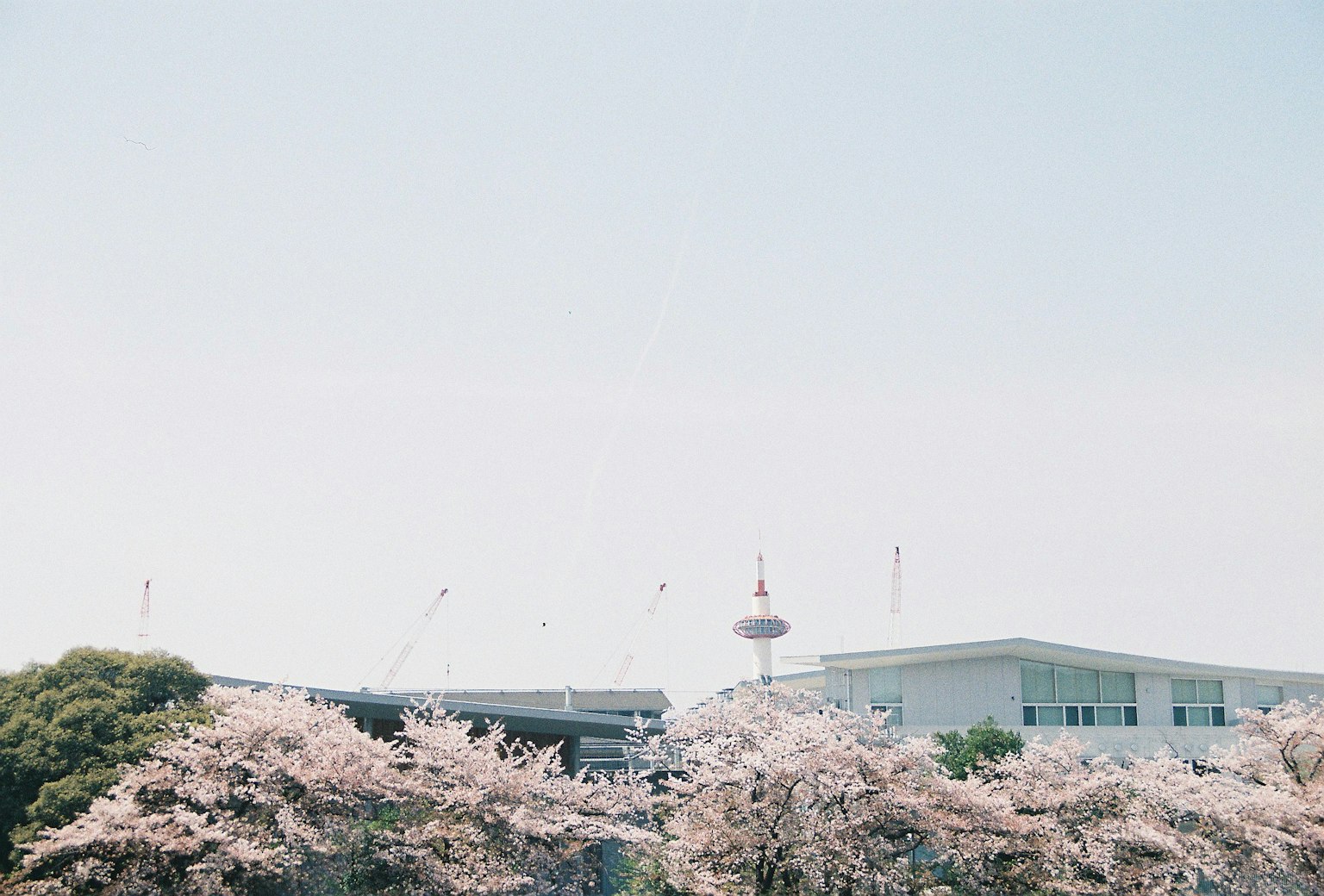 2023-11-how-to-spend-kyoto-time-image-6