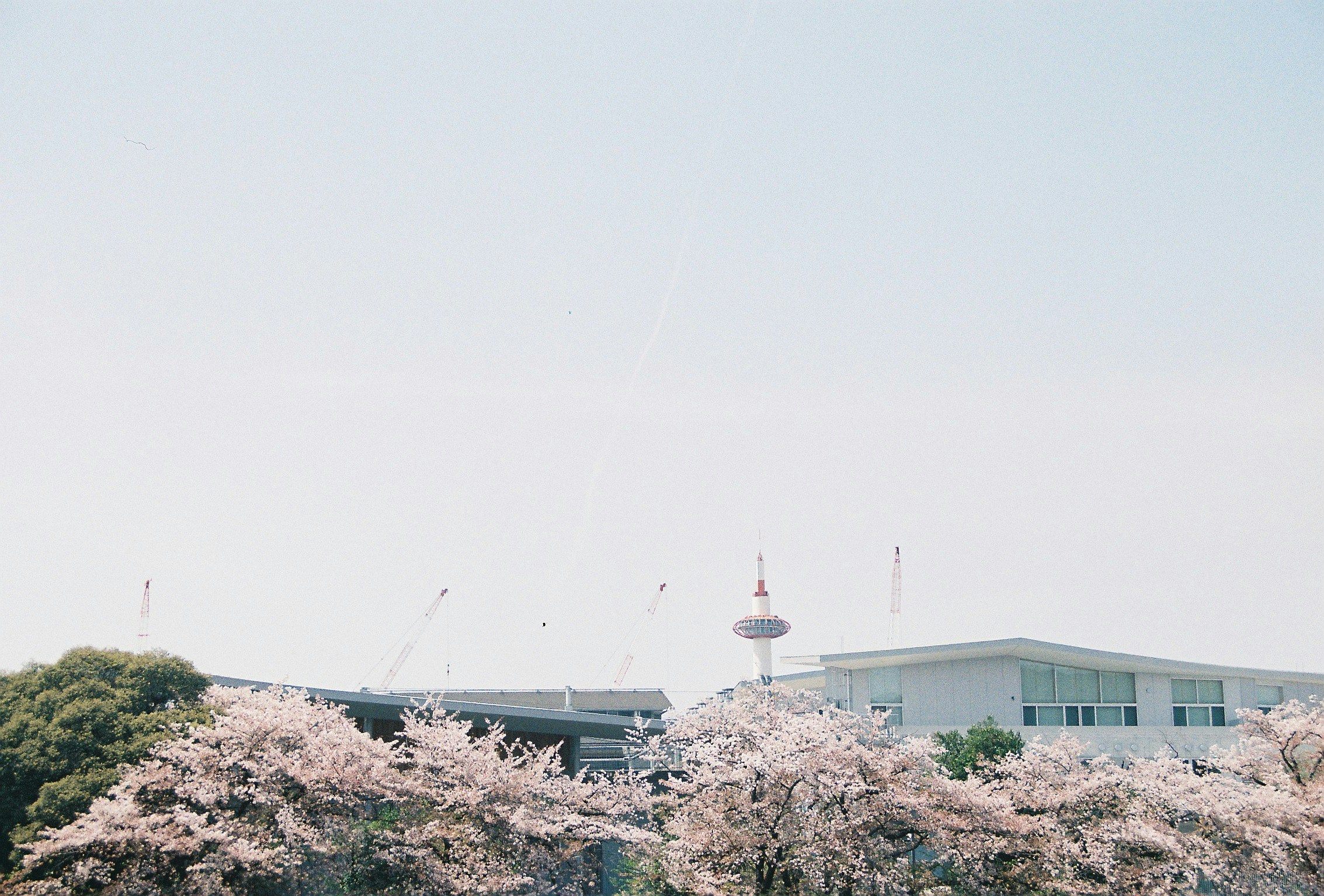 2023-11-how-to-spend-kyoto-time-image-6