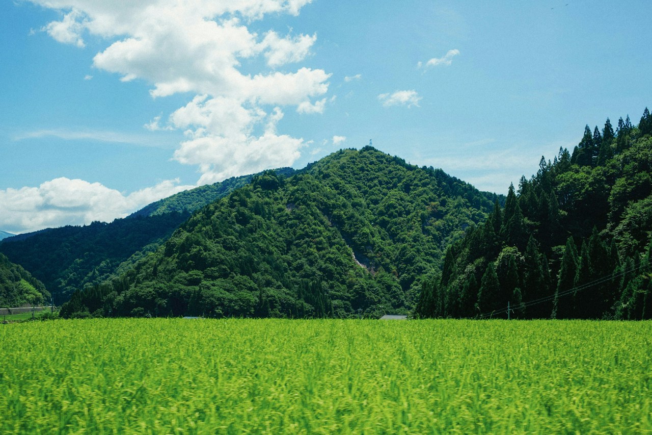 Foto: ハマダノブヒロ