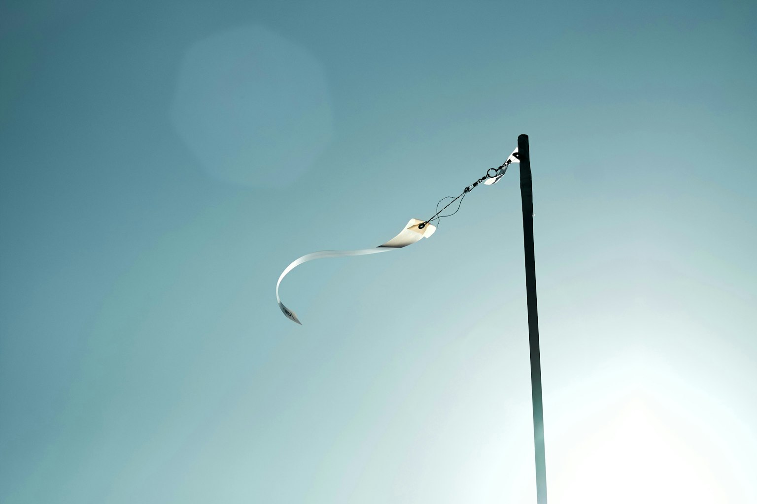 2025-08-digital-camera-market-shift-image-8