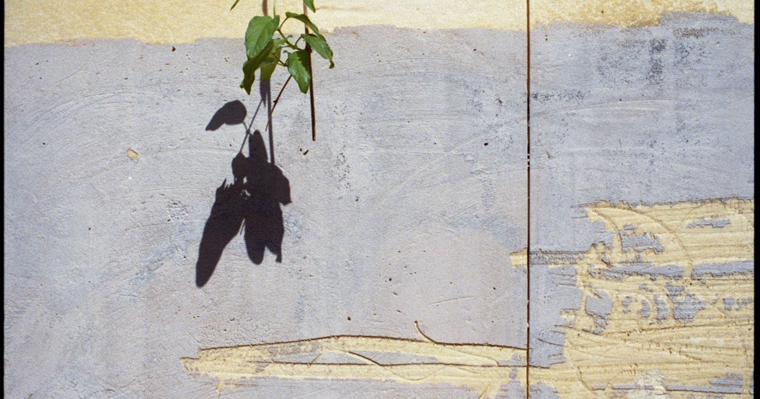 2024-07-textile-of-film-cover-image