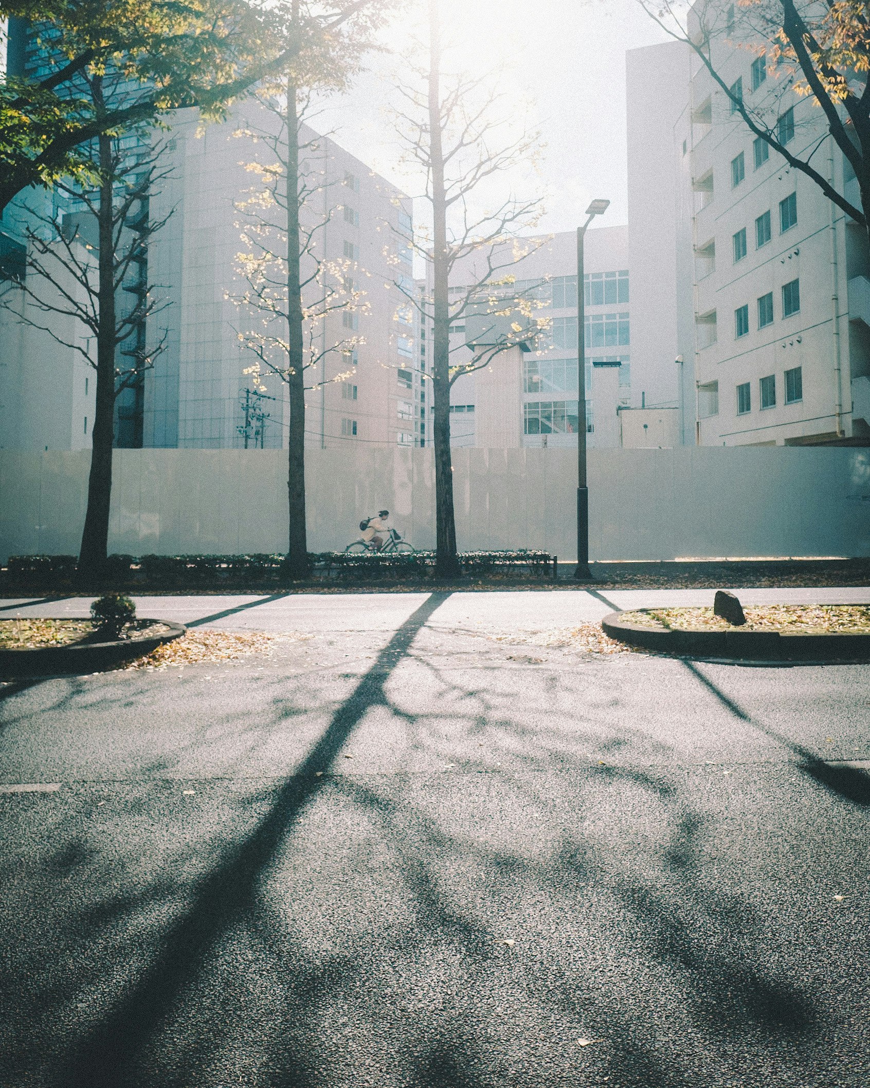 Photo by kouki.0904