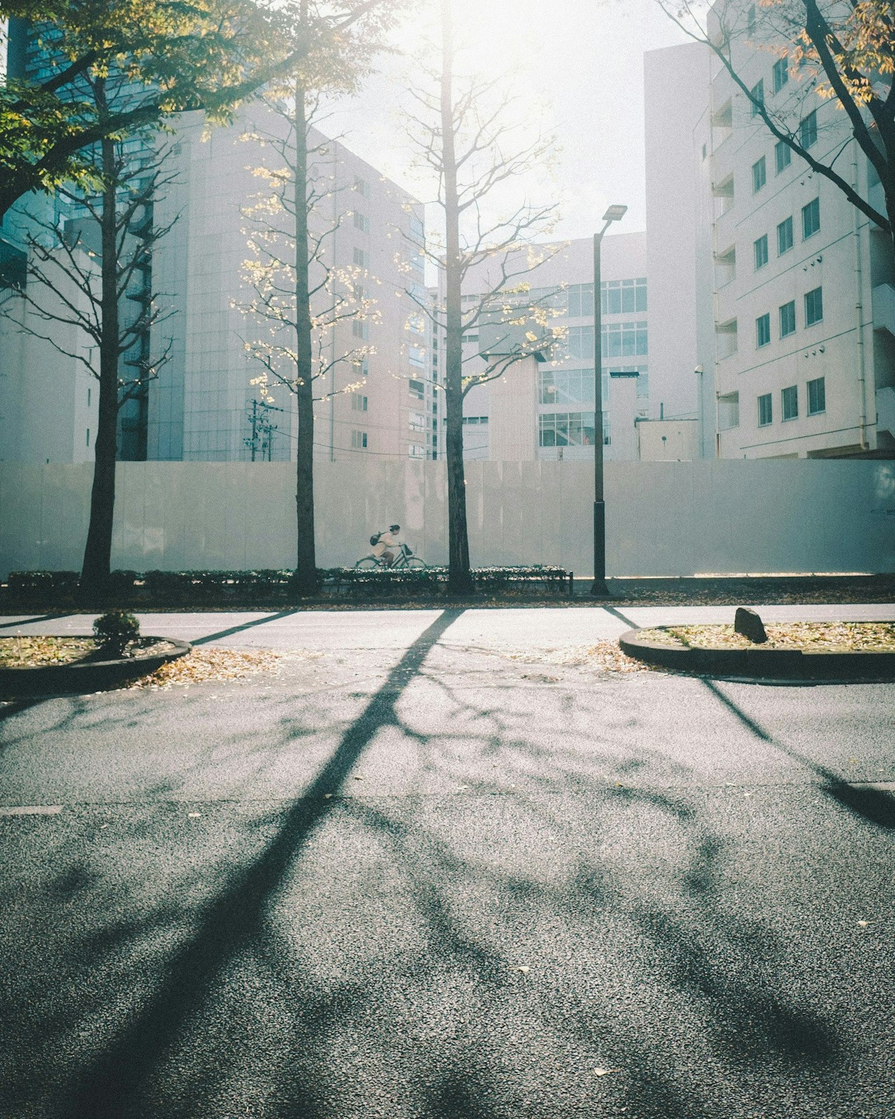 Photo by kouki.0904