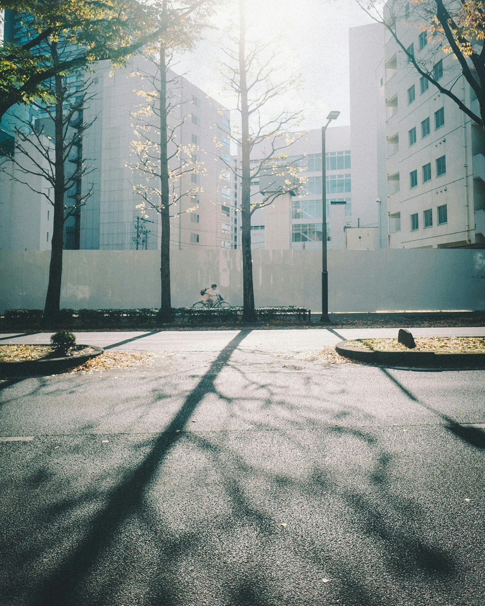 Photo by kouki.0904