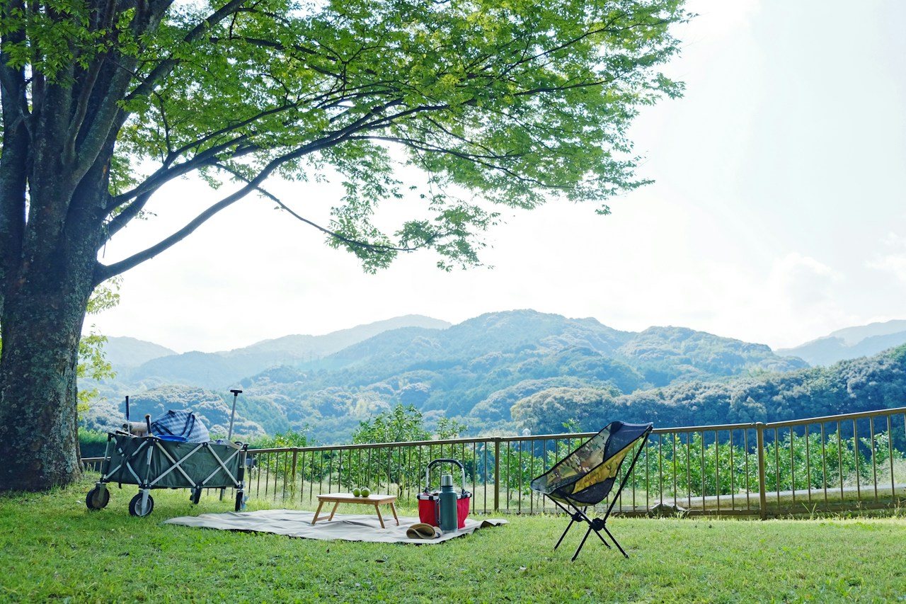 Image by ayako