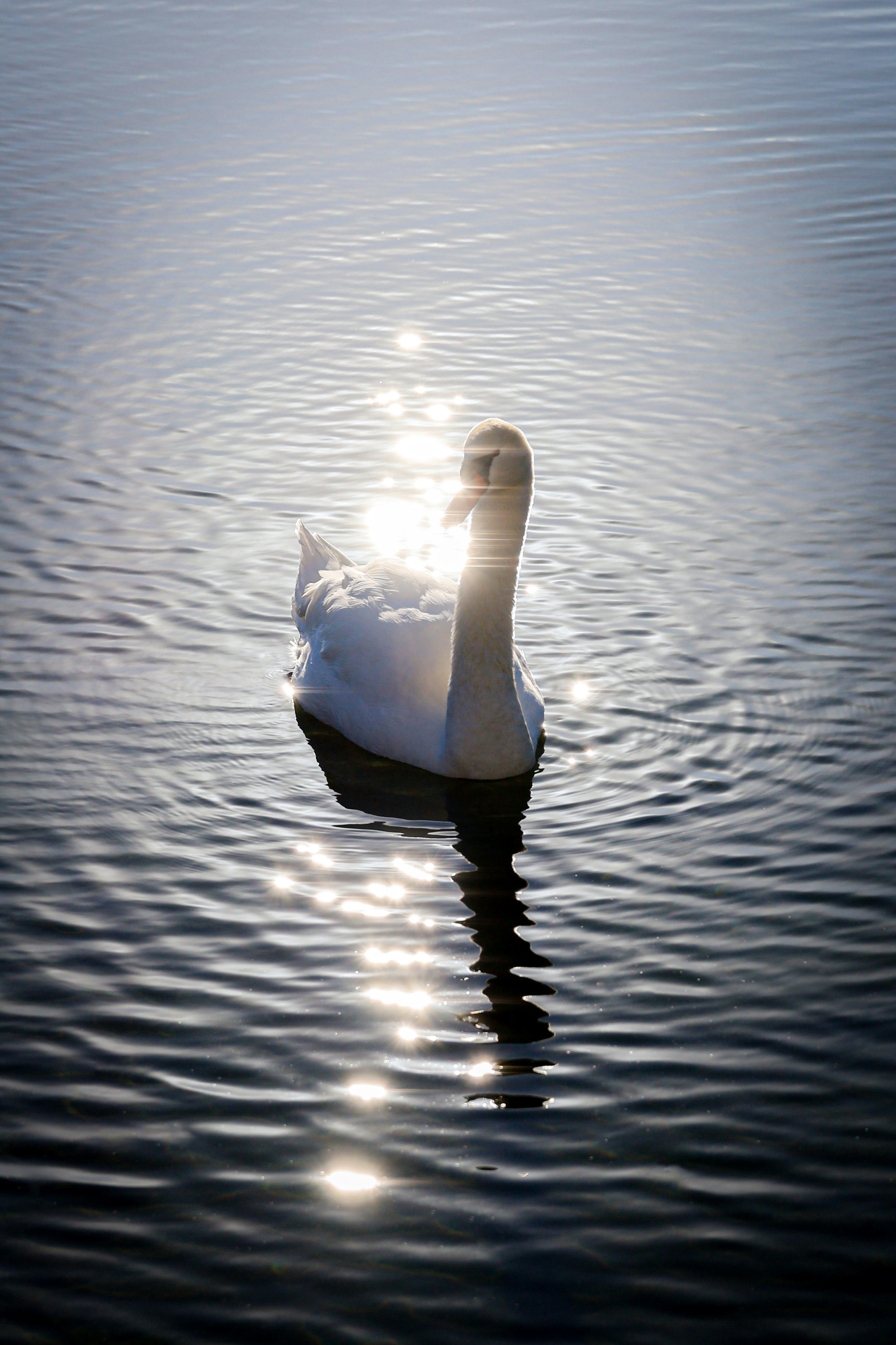 2026-02-staying-natural-with-eos-rp-image-18