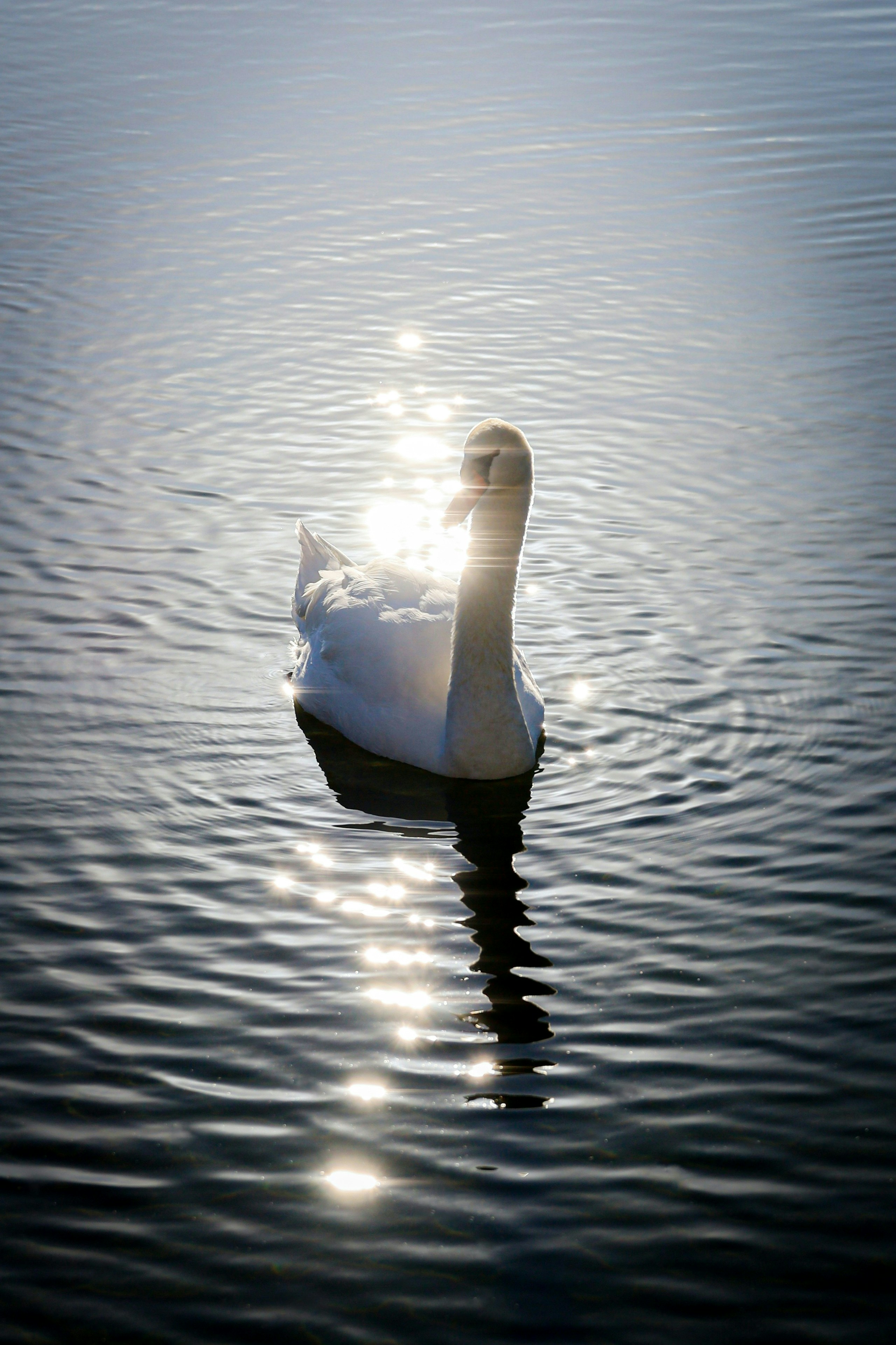 2026-02-staying-natural-with-eos-rp-image-18