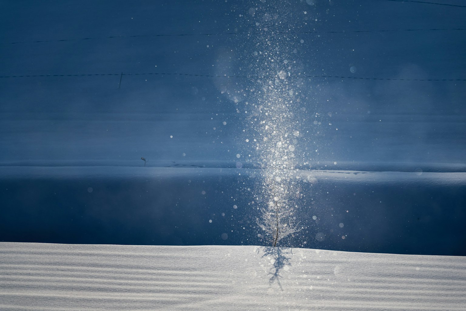 2024-04-sunlight-stories-image-6