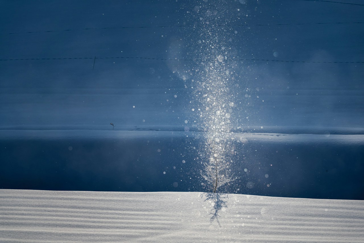 Image by Tomoyuki Azuma