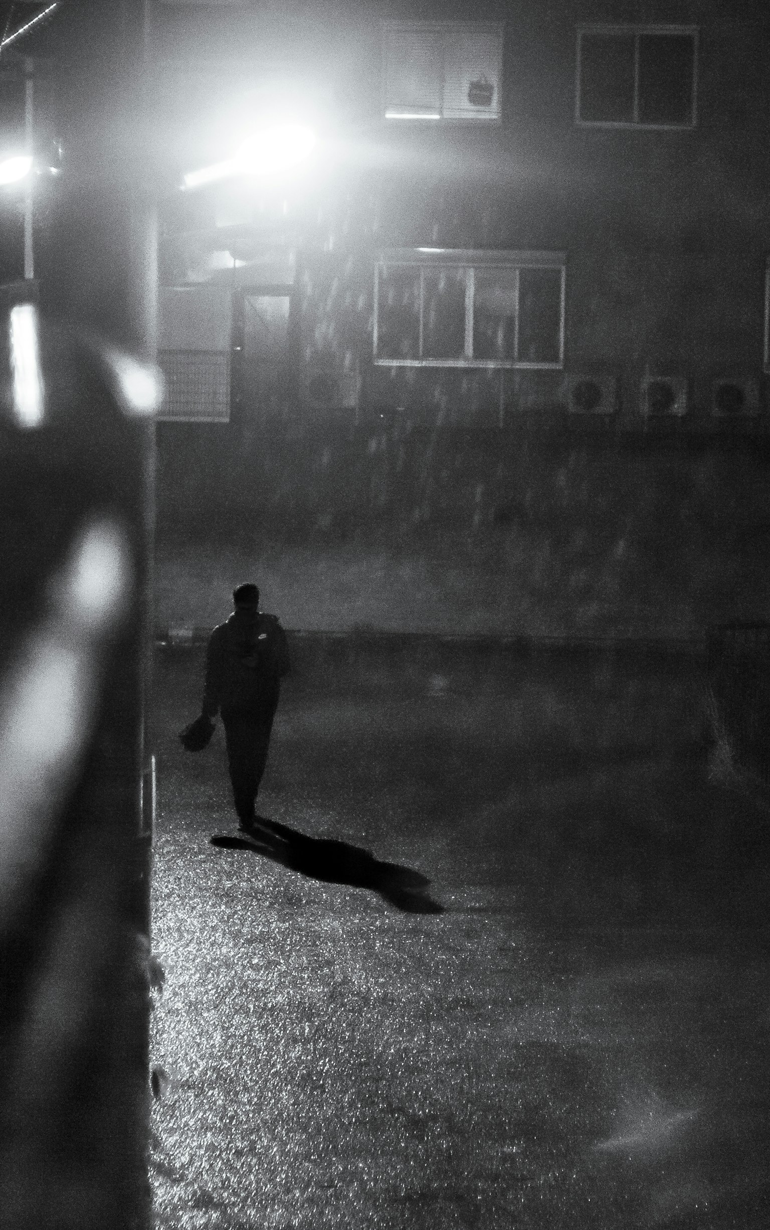 2024-05-oshampo-diary-image-12