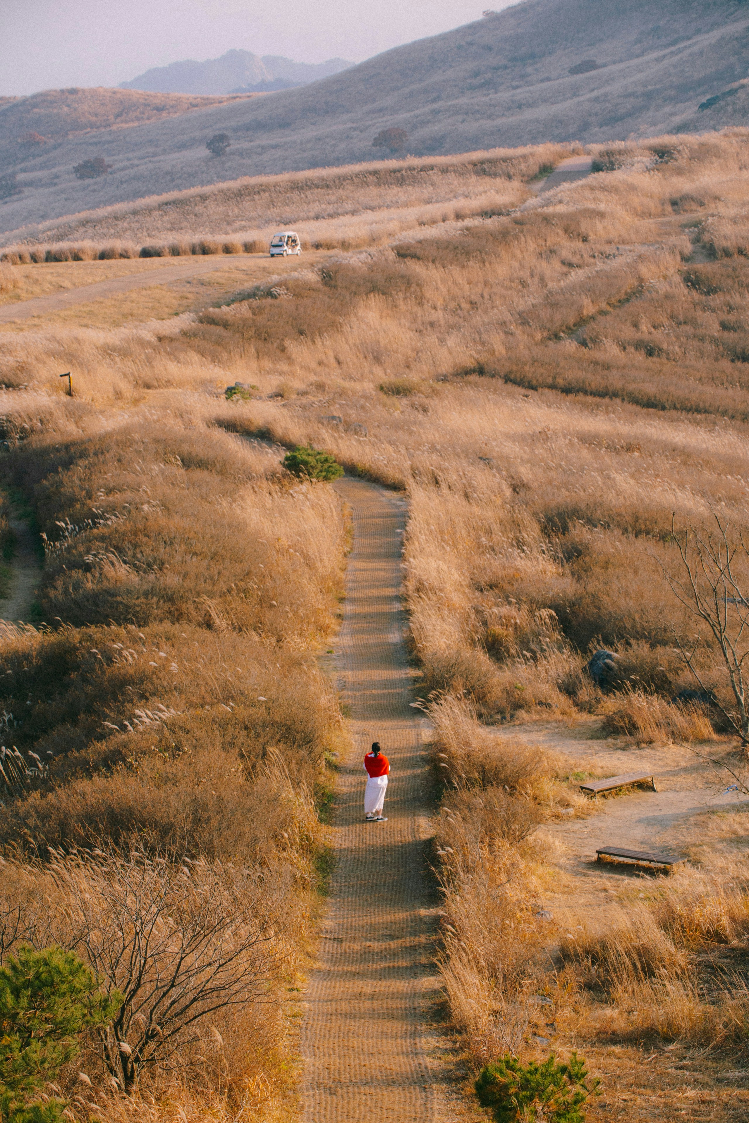 2026-05-find-new-pieces-road-image-24