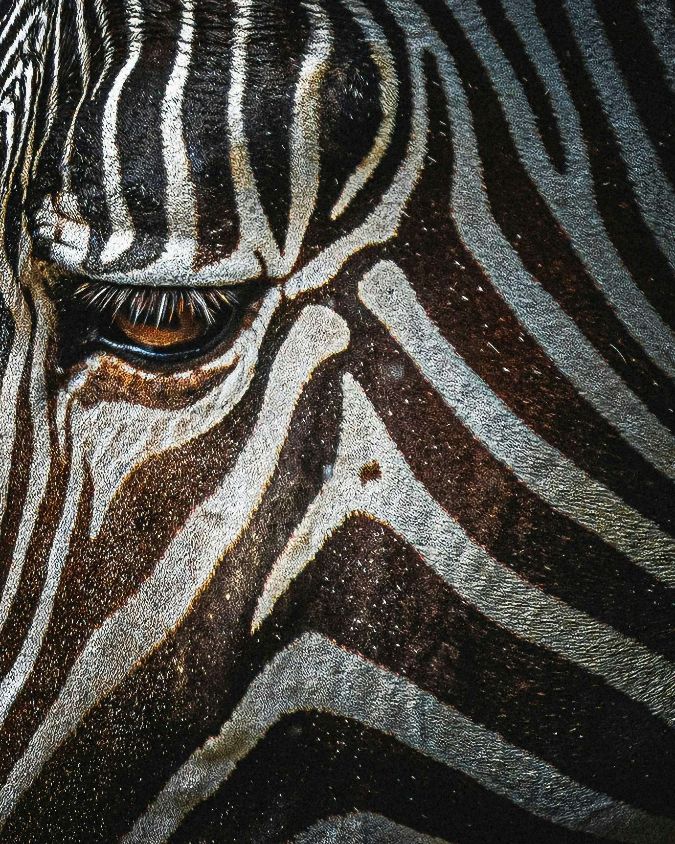 2026-03-animal-report-image-7