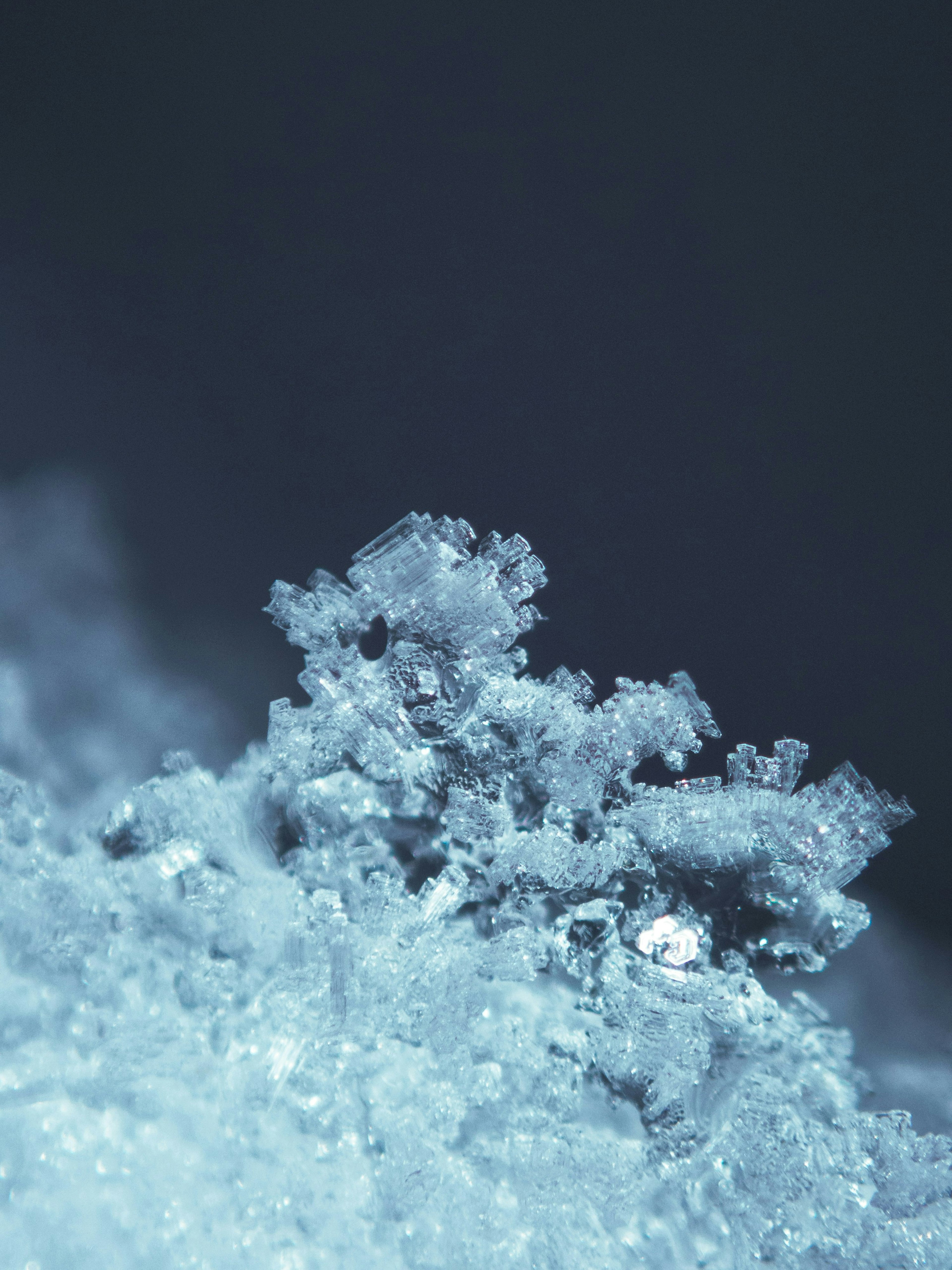 2025-07-remm-captures-underwater-image-12