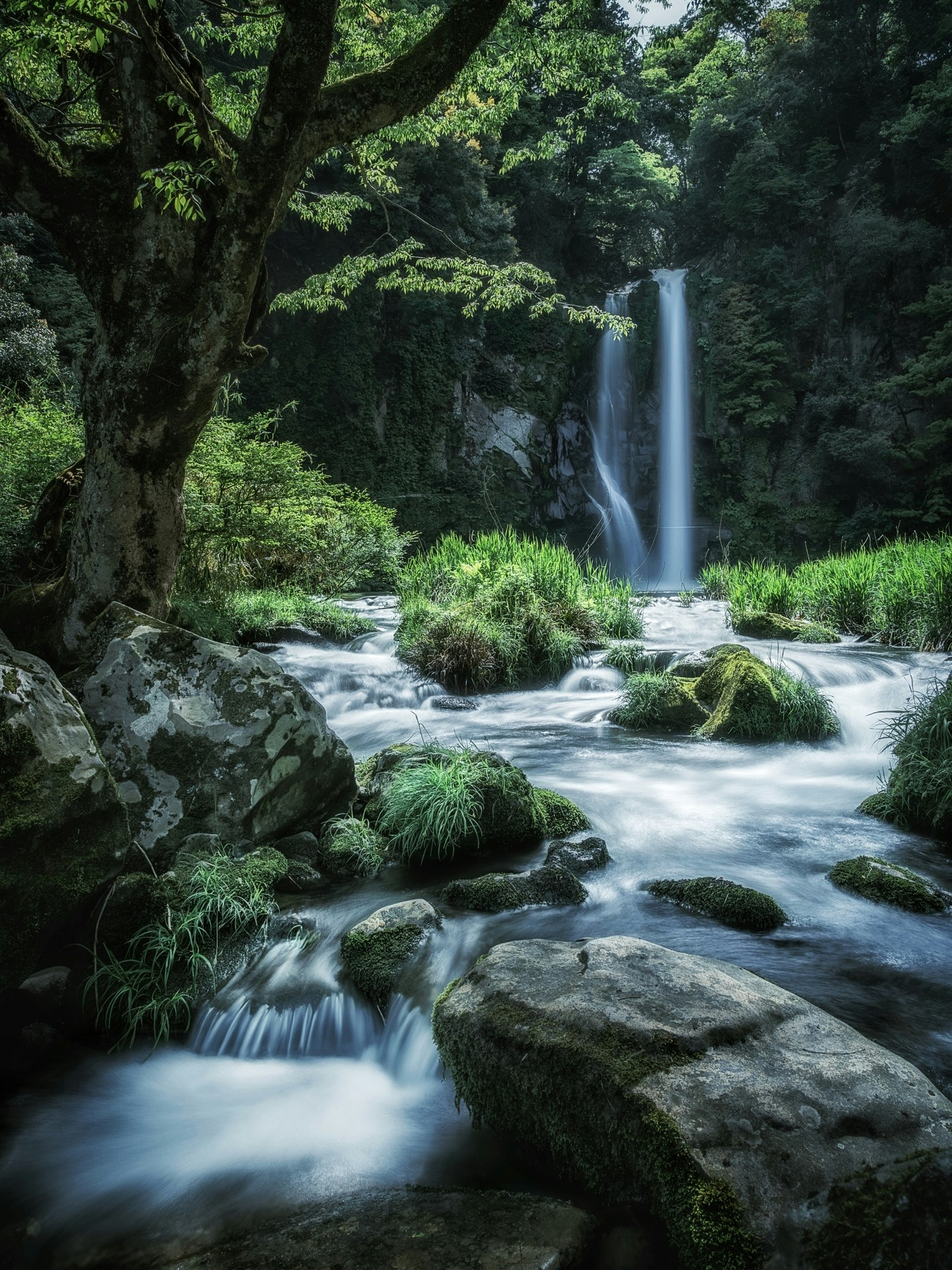 2024-01-end-of-year-reflection-award-image-17