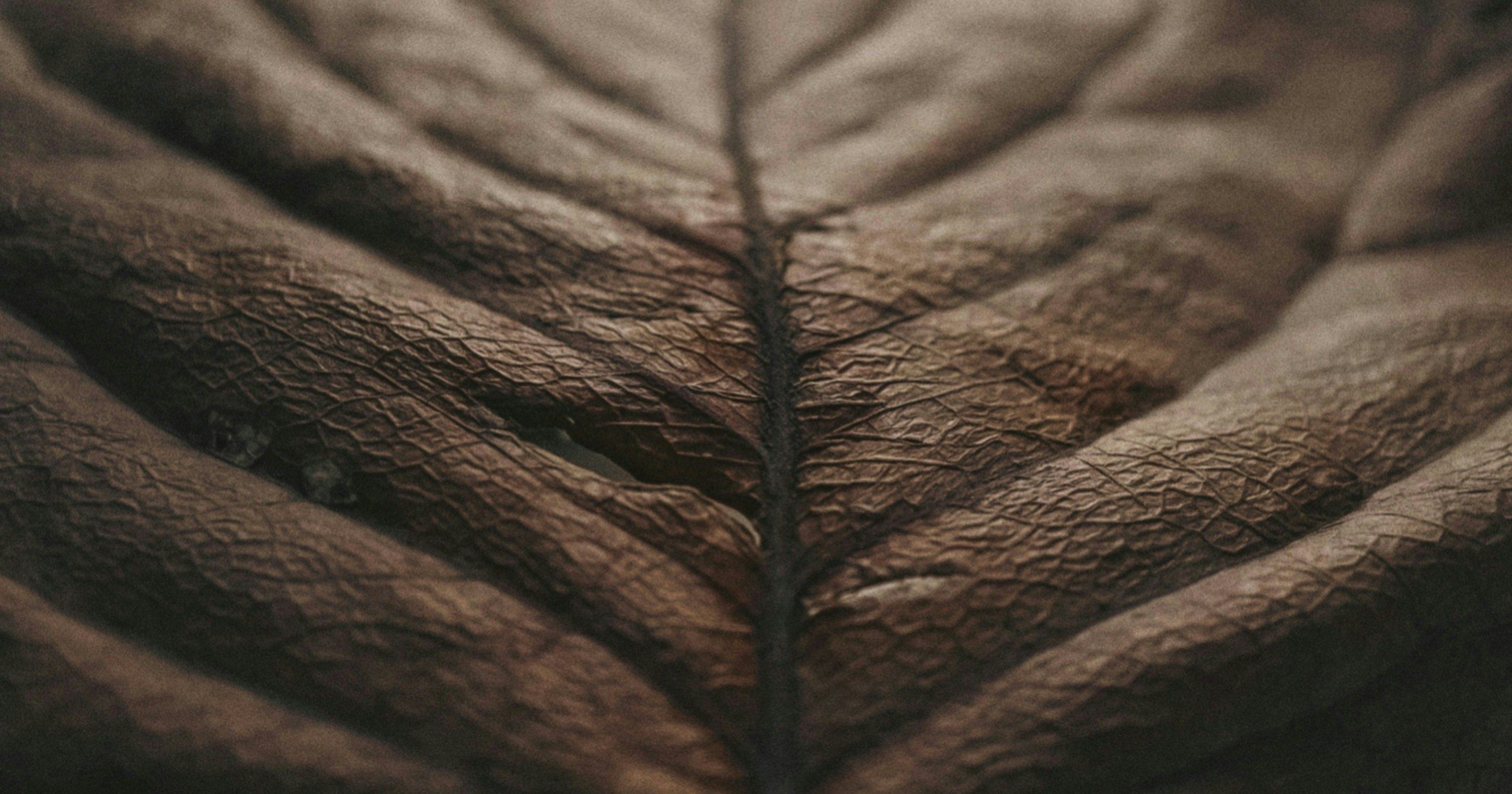 2026-03-zoom-in-cover-image