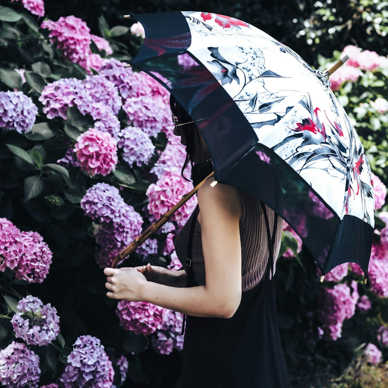 2024-05-ajisai-photography-cover-image