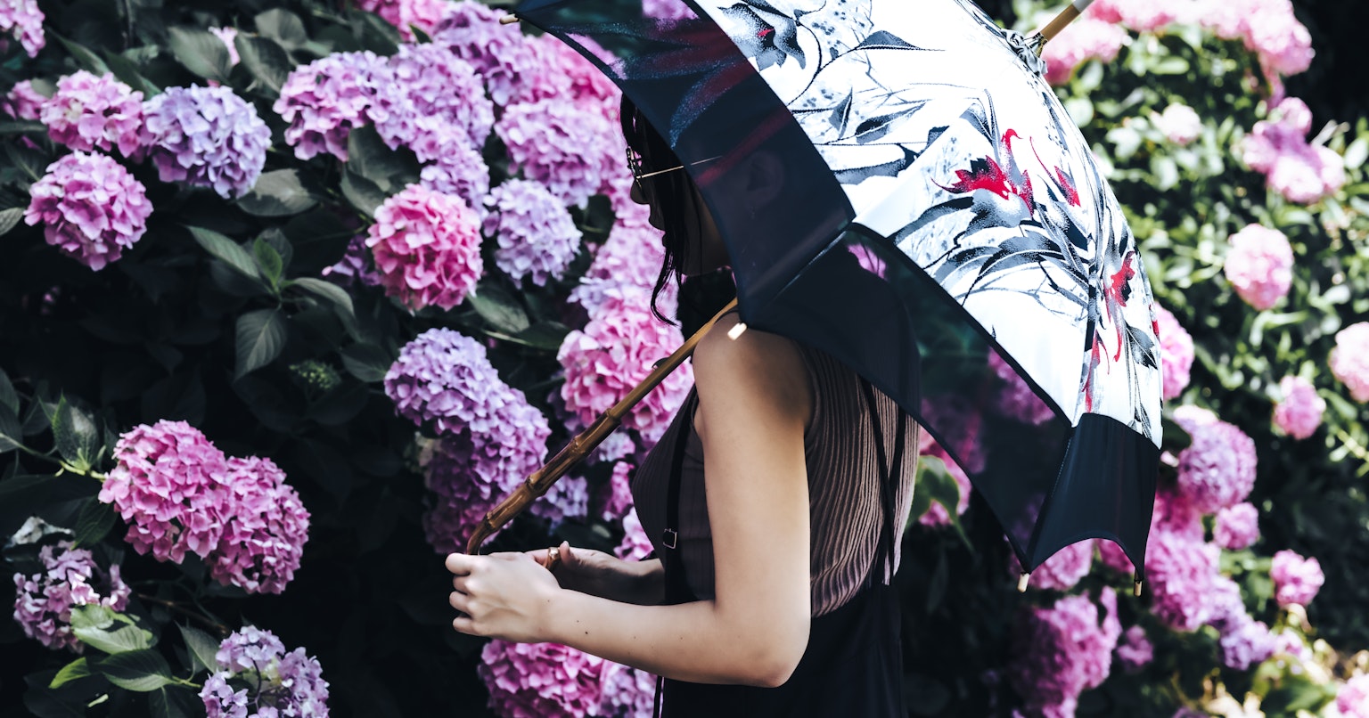 2024-05-ajisai-photography-cover-image