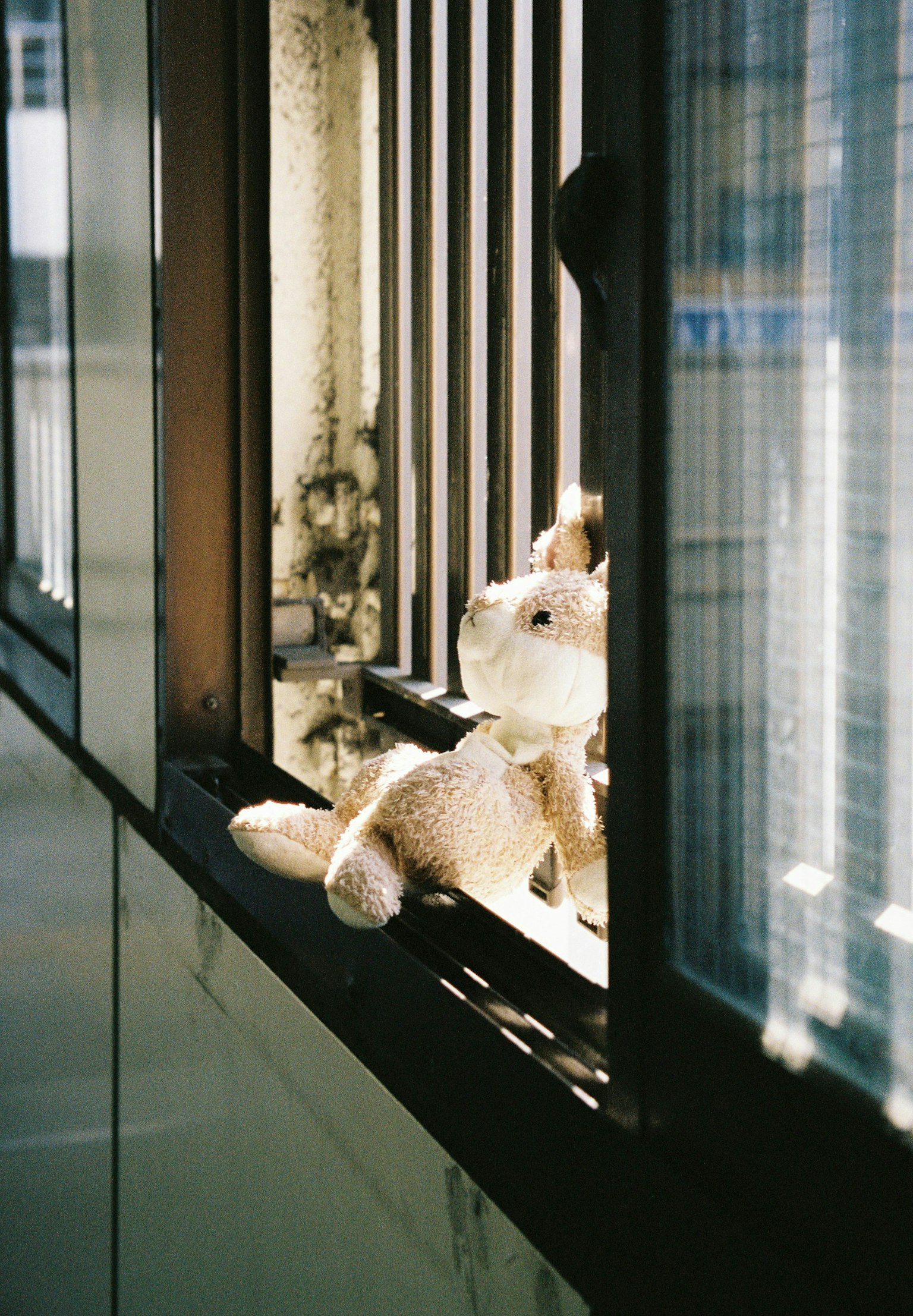 2024-12-nui-photography-tips-image-13