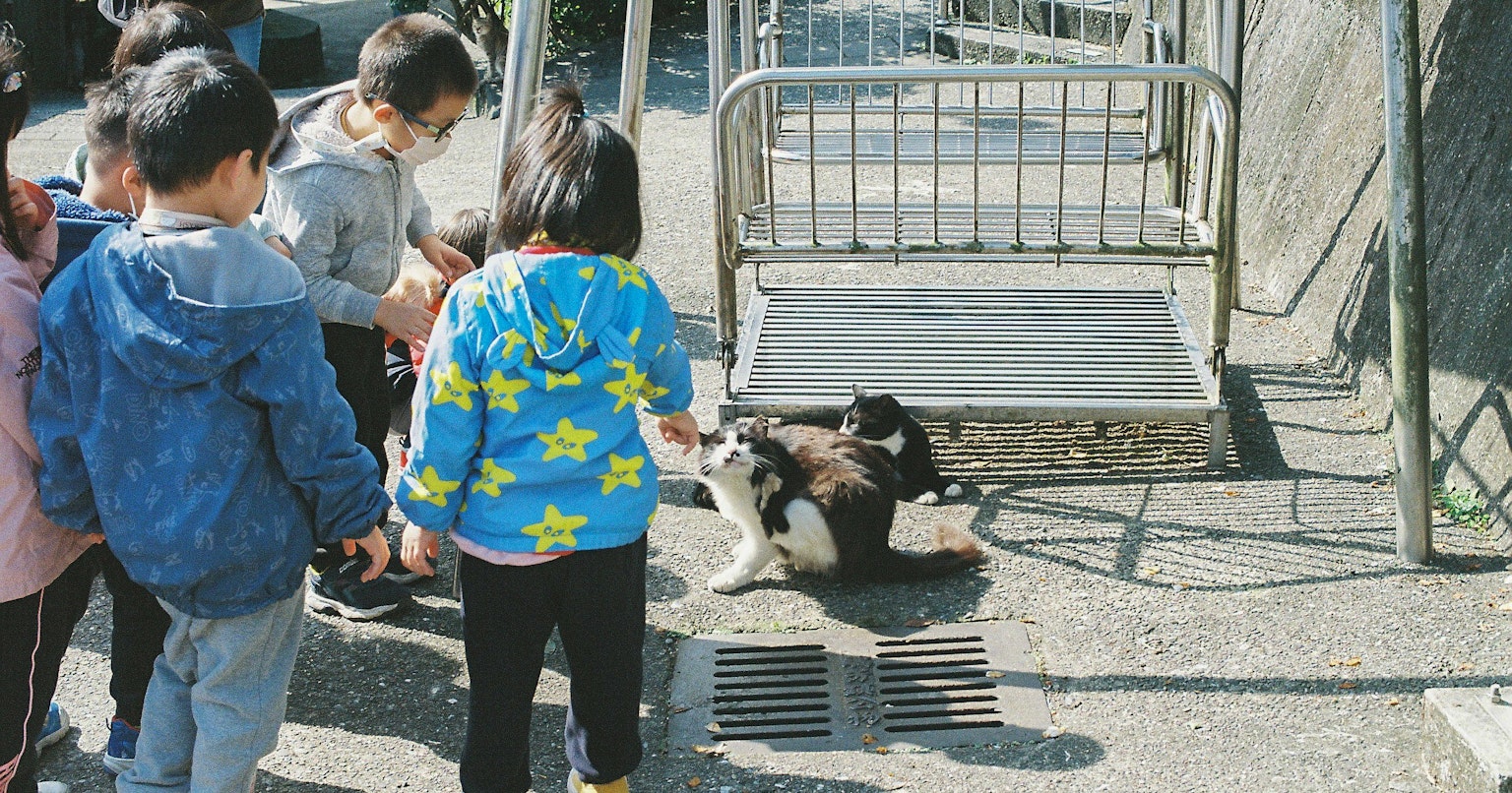 2024-06-film-portrait-cover-image
