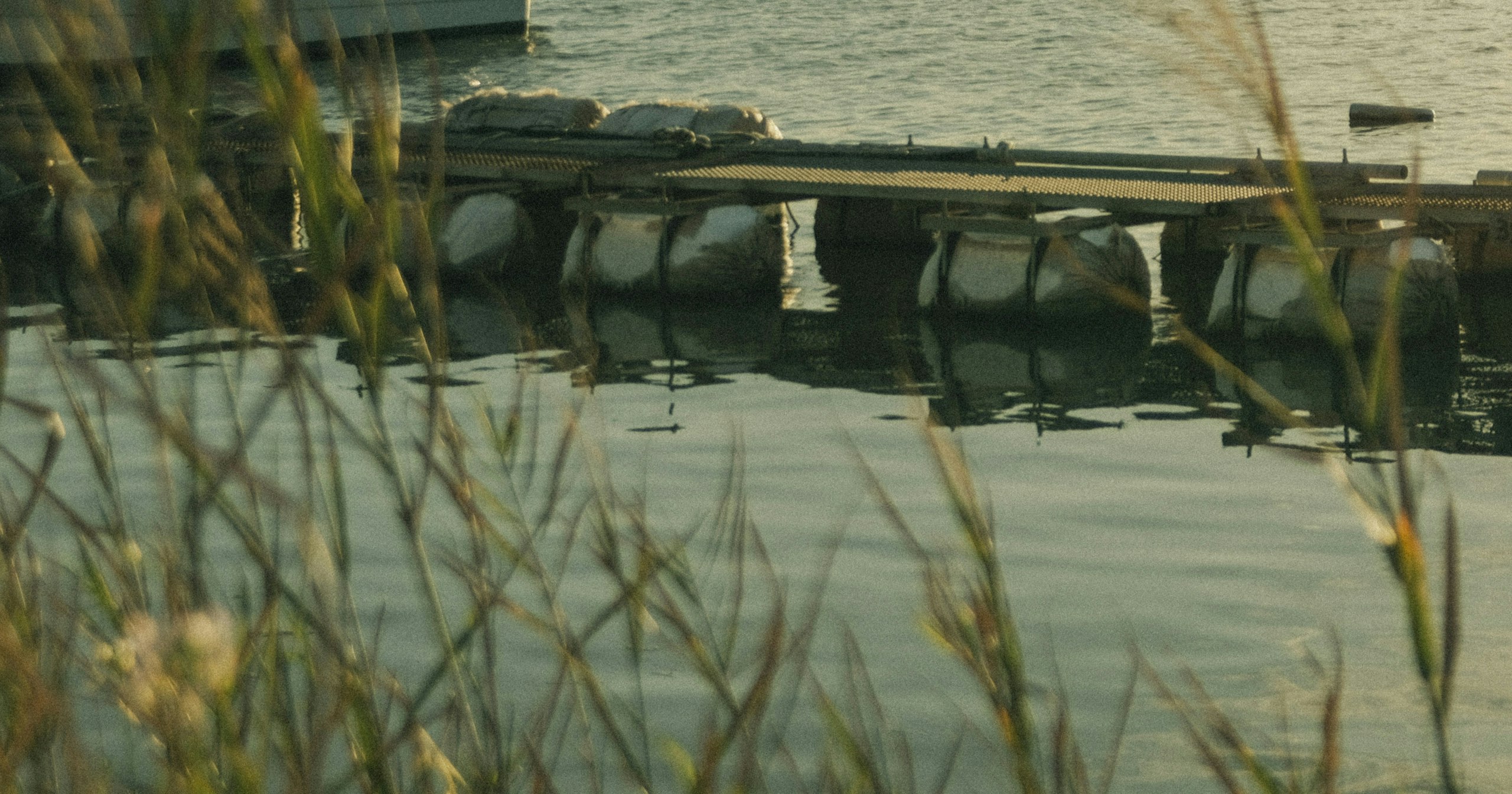2026-06-third-landscape-cover-image