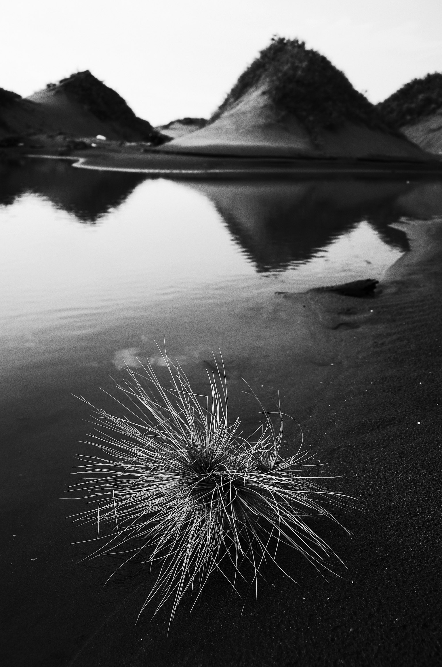 2025-12-ppp-review-by-ego-photostory-image-13