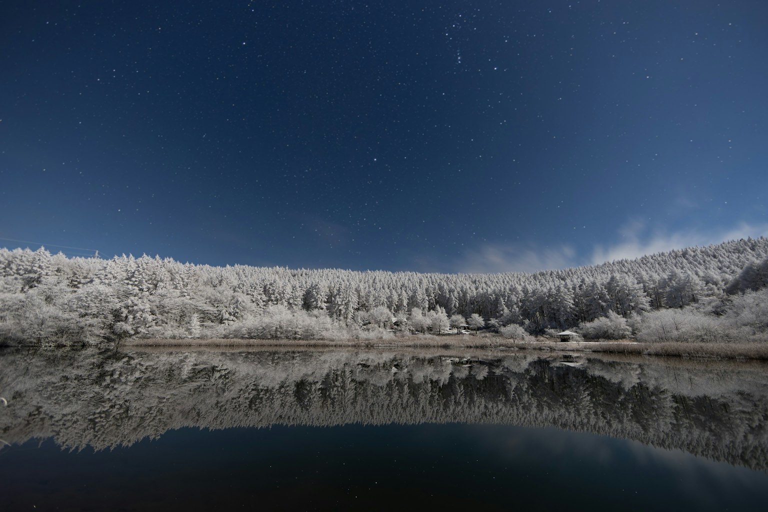 2024-01-end-of-year-reflection-award-image-12