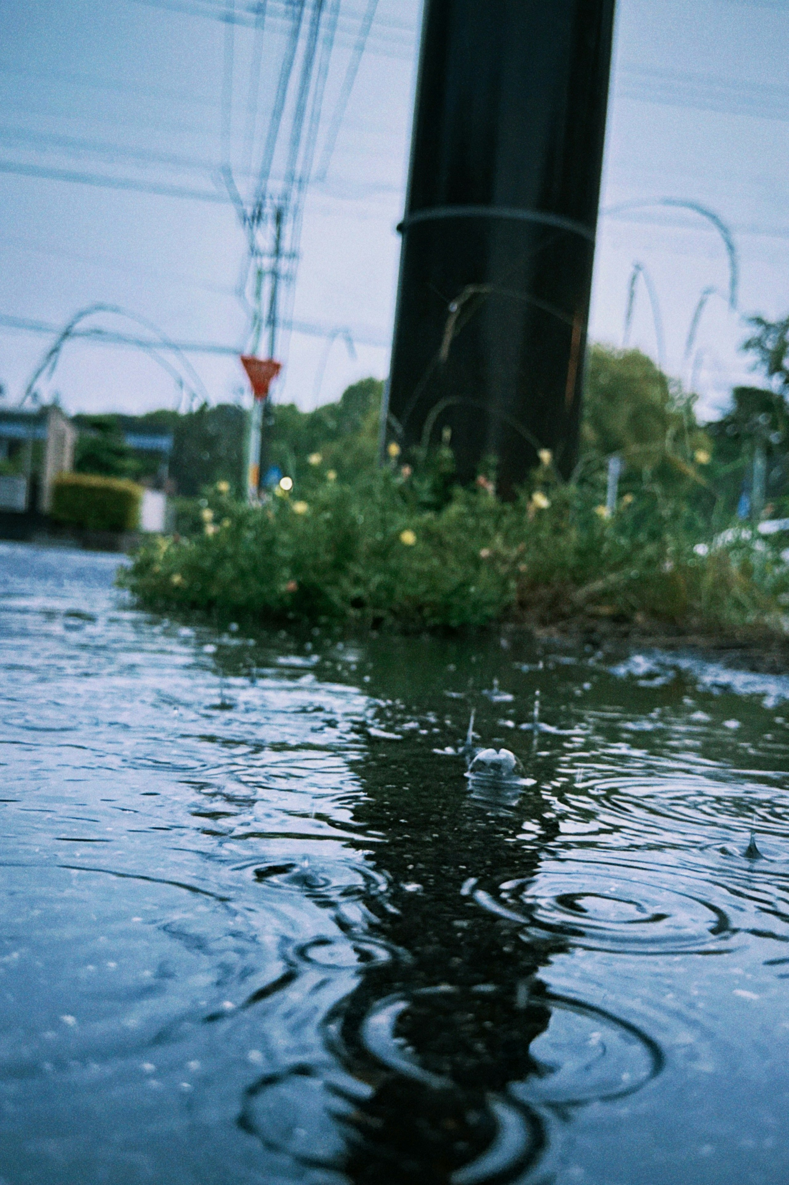 Photo by くろどん