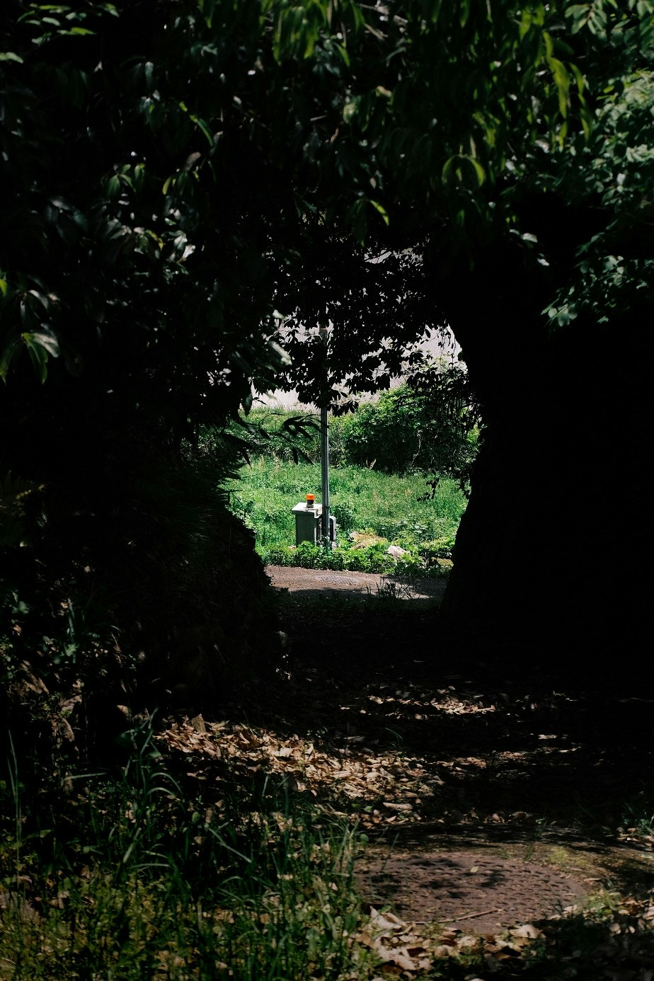 Photo by Ken