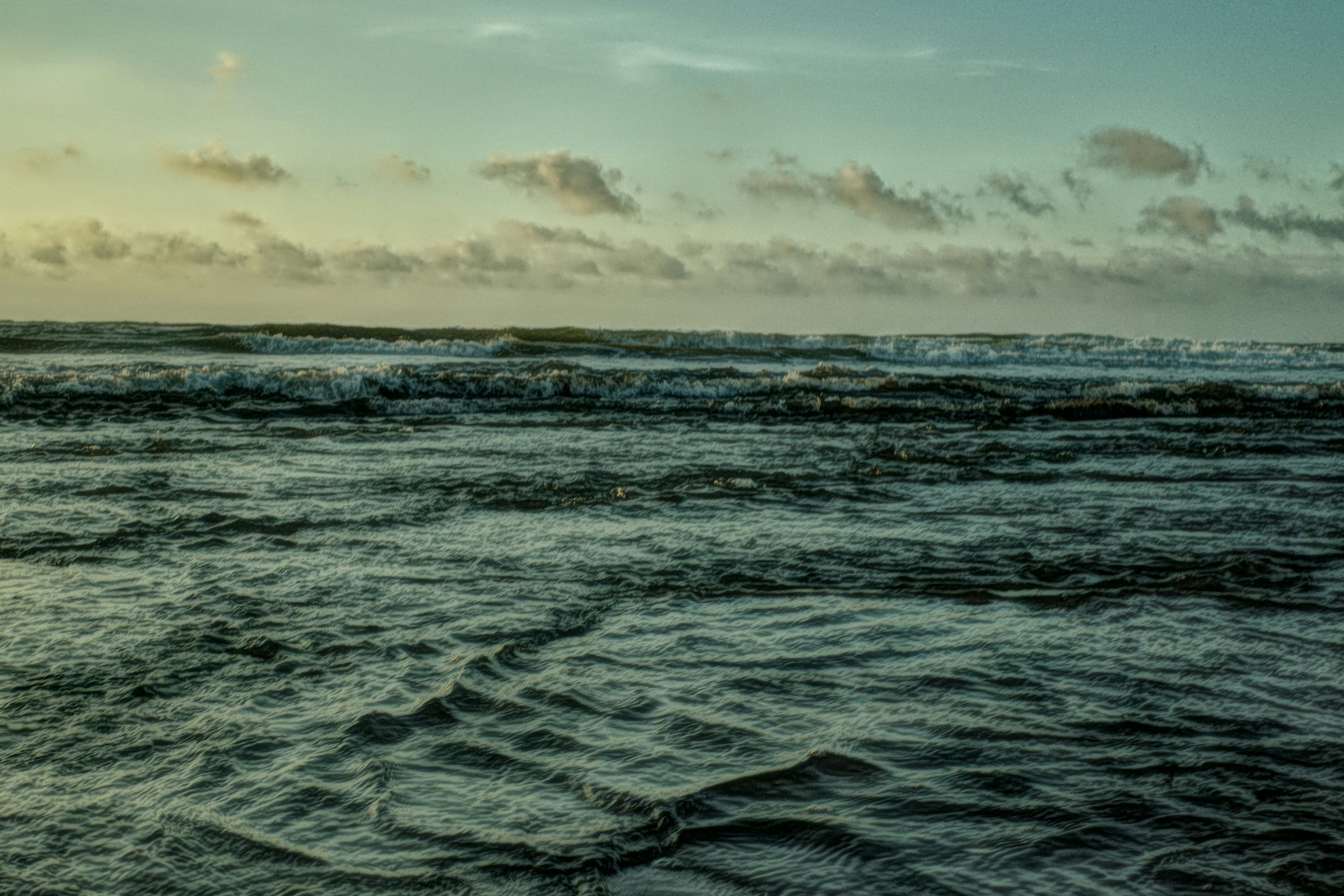 2026-08-wave-image-4