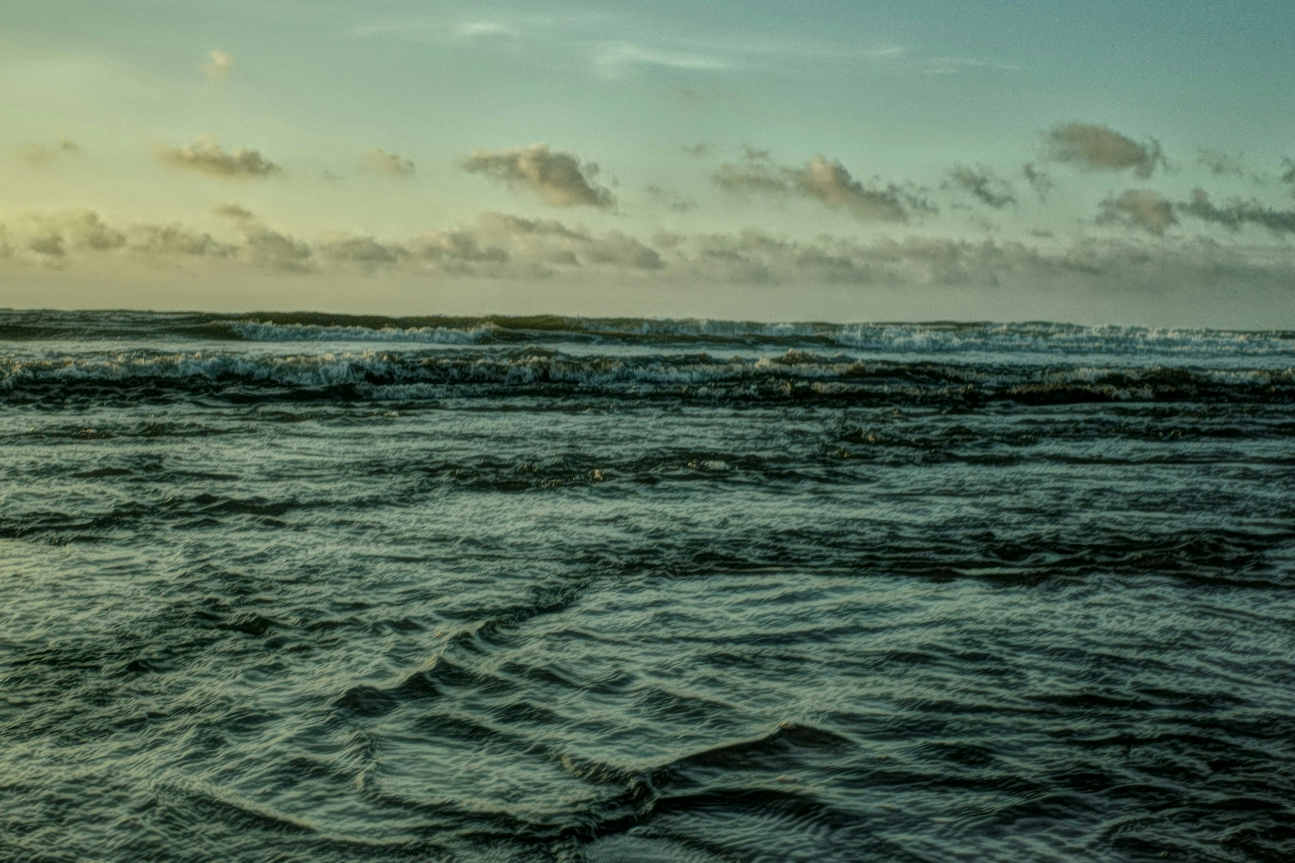 2026-08-wave-image-4