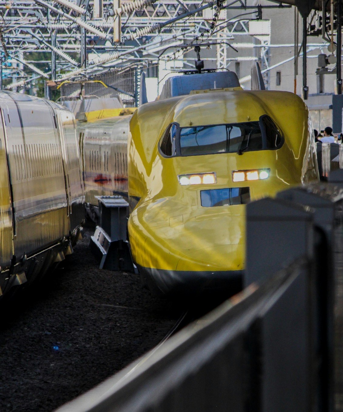 2025-10-doctoryellow-lucky-train-image-5