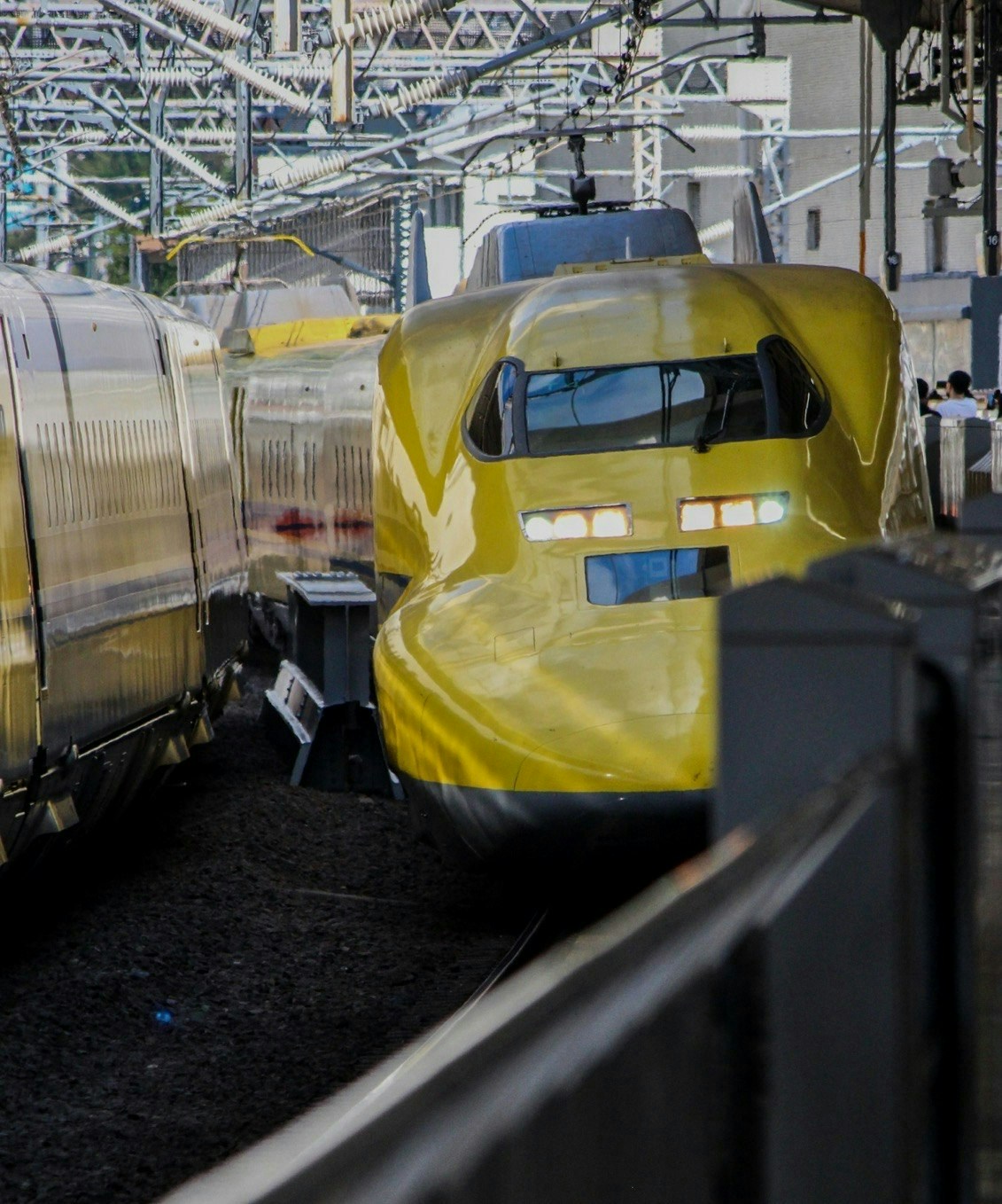 2025-10-doctoryellow-lucky-train-image-5