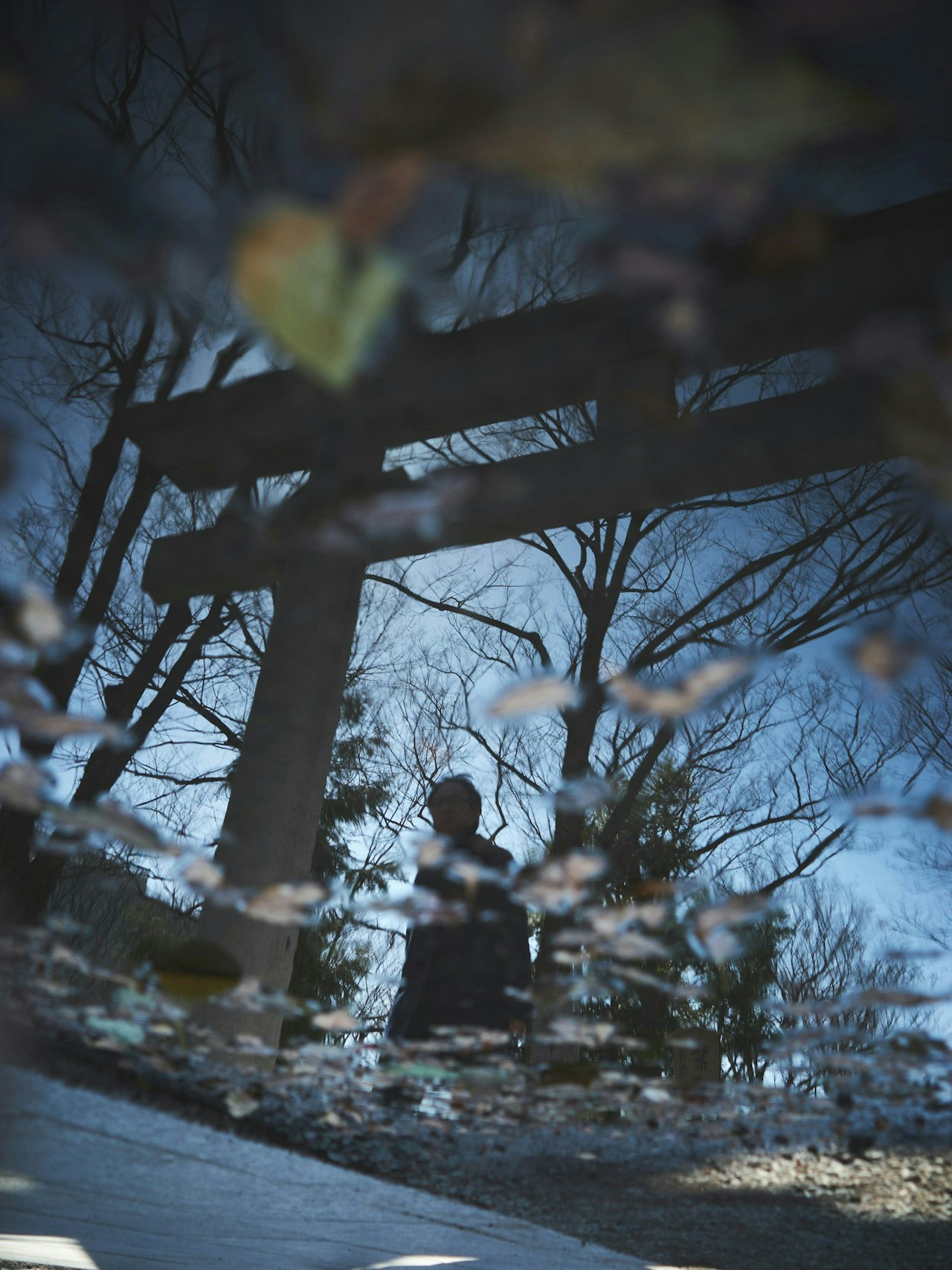Photo by 田中ハル