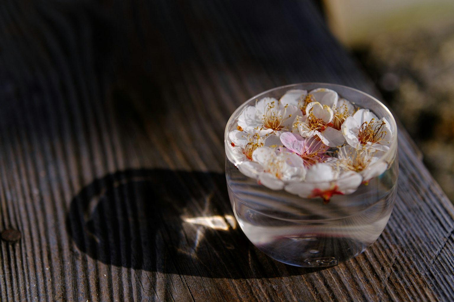 2024-05-ttartisan-af-56mm-image-7