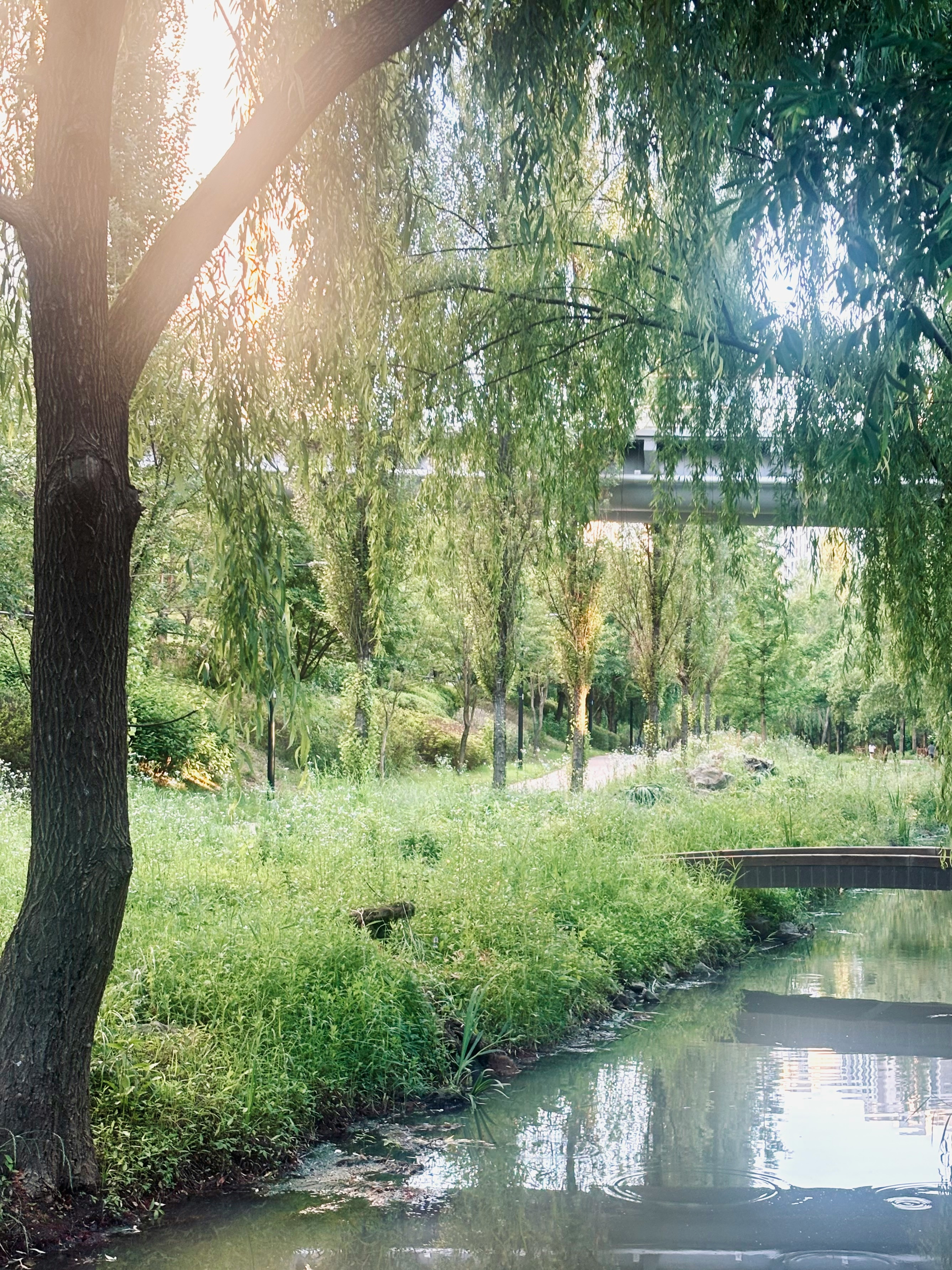 2026-06-greenery-report-image-9