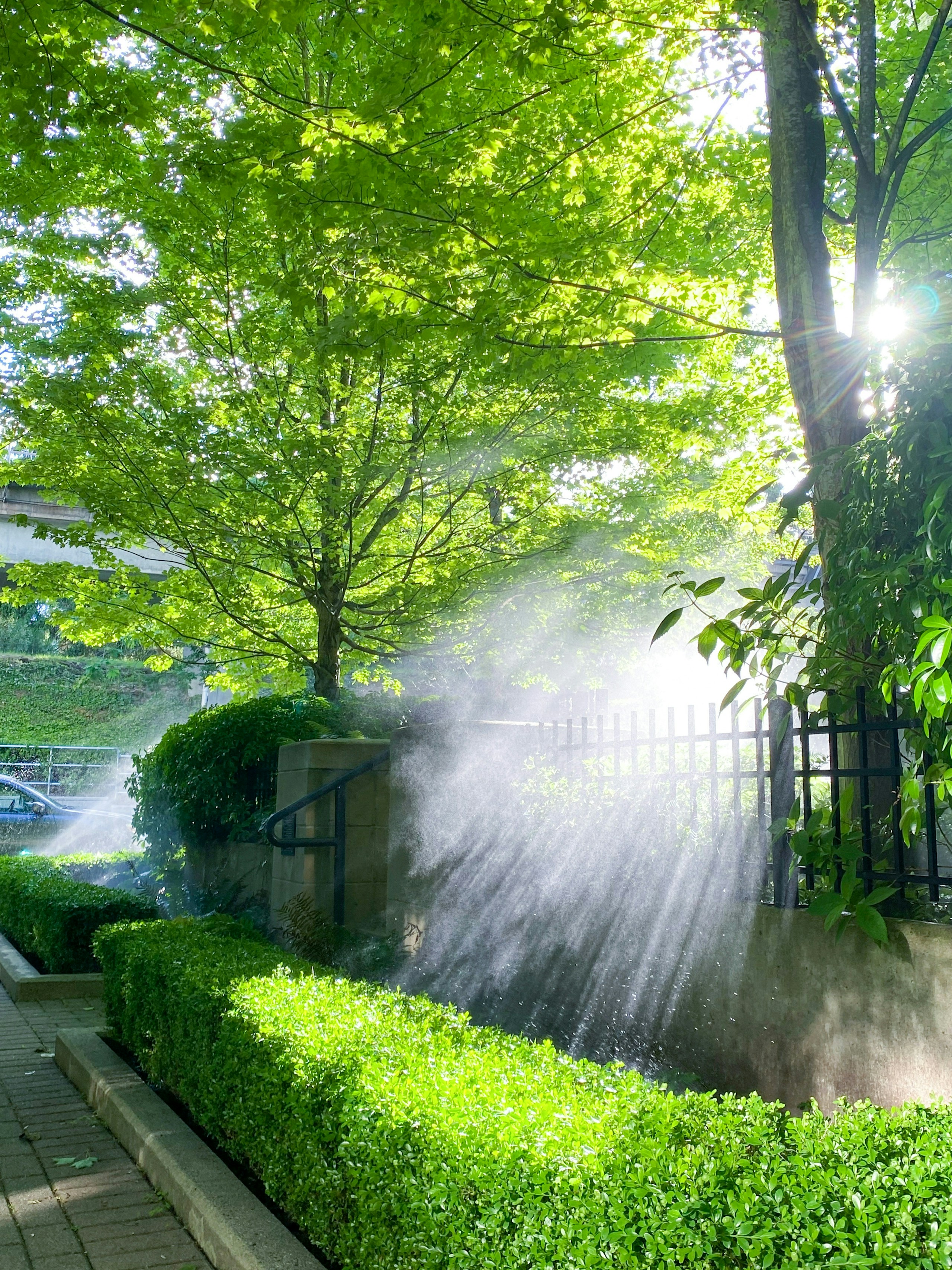 2026-01-sparkling-photography-image-12