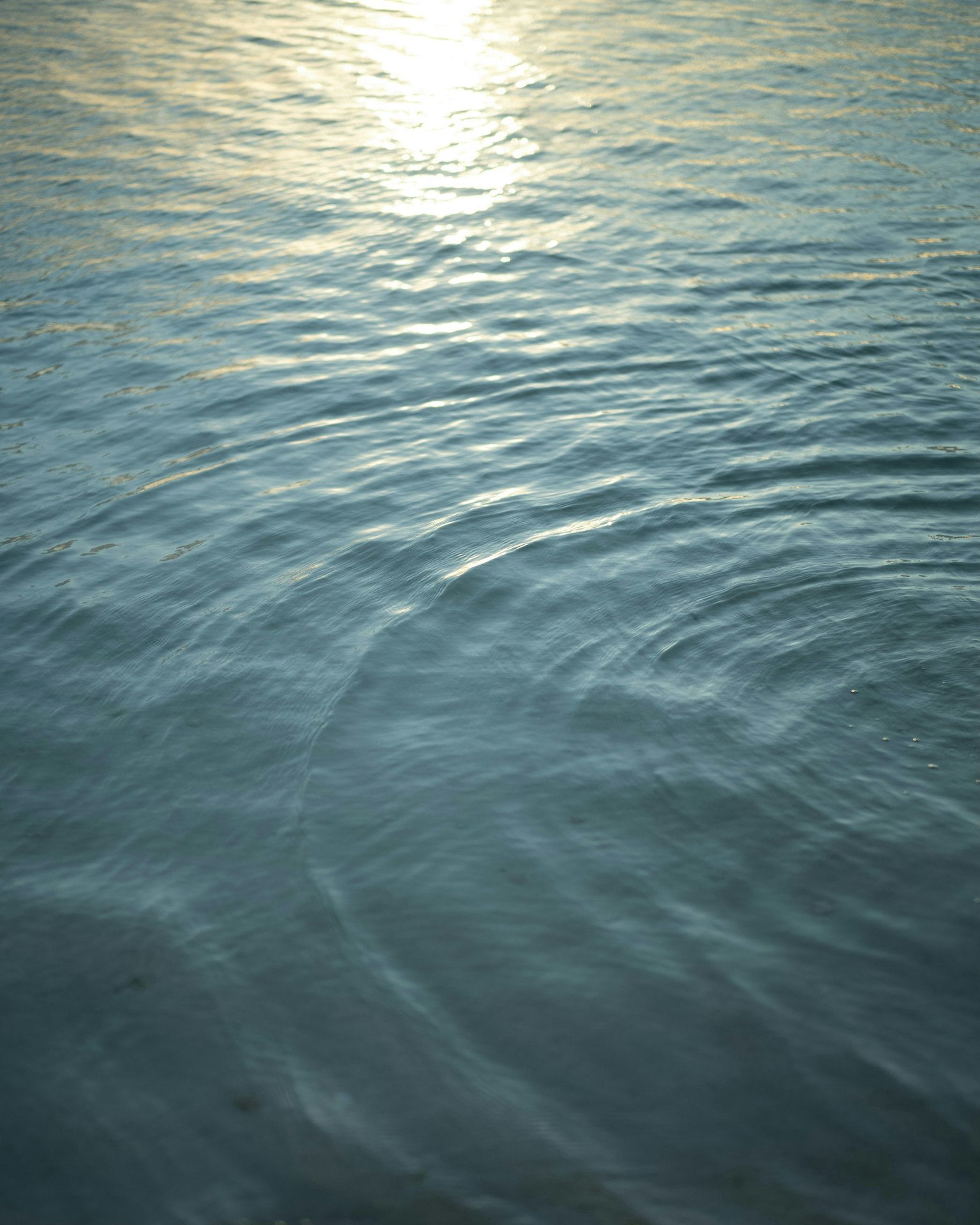 2025-08-what-is-seeing-image-12